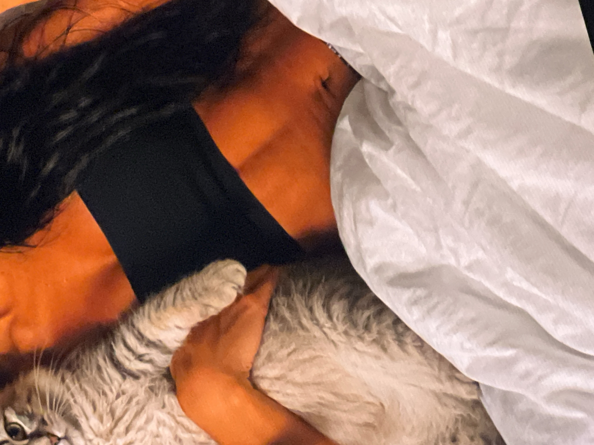 An individual is embracing a cat, with their face buried in the cat's fur and the cat's body partially obscured by the individual's arm. The individual is wearing a black garment. The scene appears to be indoors, with a white blanket or bedding prominently displayed in the foreground, and the background is a dark, indistinct color. The lighting suggests an artificial light source.