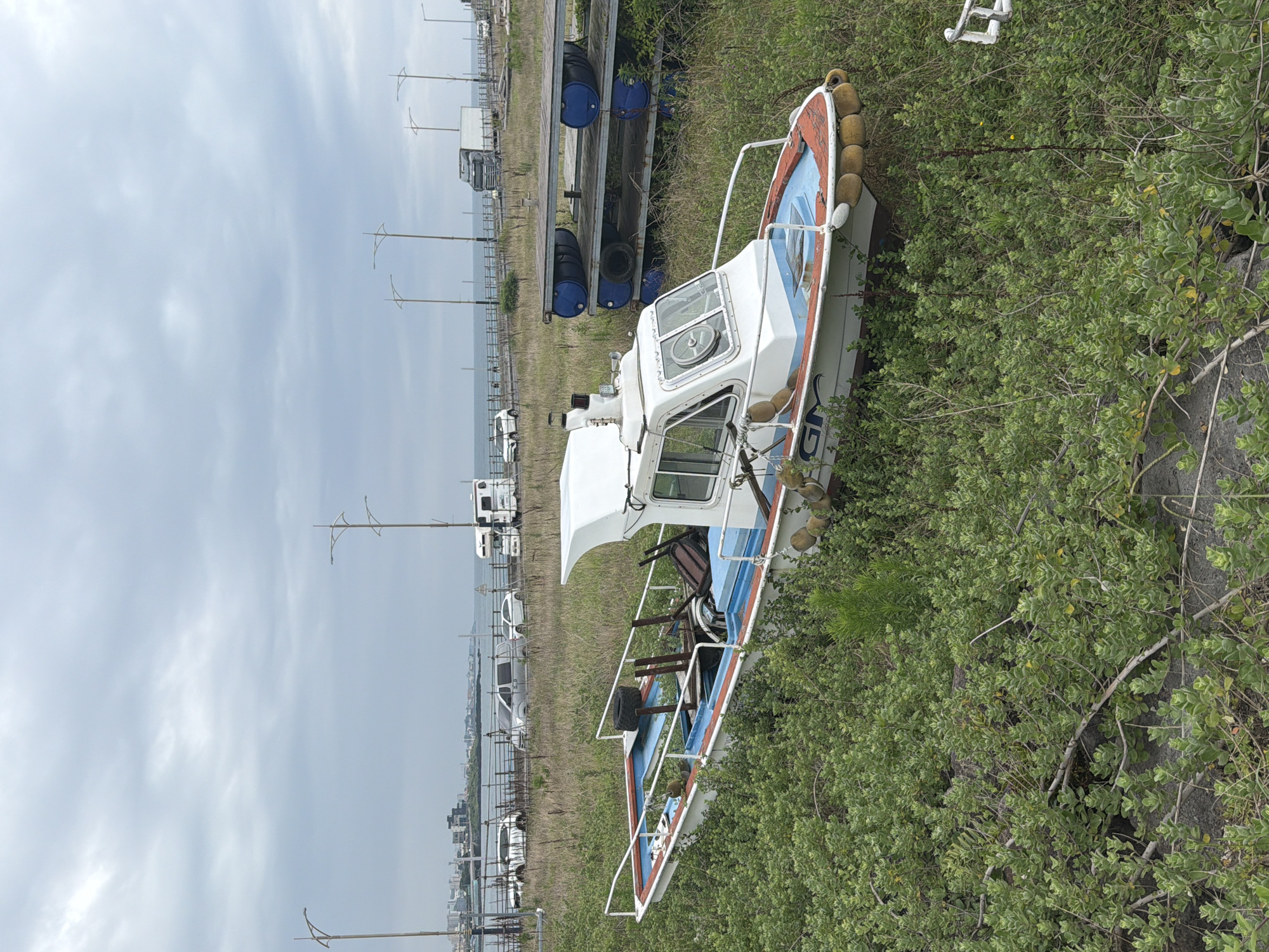 A white and blue fishing boat is partially submerged in dense green foliage on the shore. The boat has a cabin with windows and a white roof. The bow of the boat is adorned with yellow fenders. In the background, a body of water is visible, with a cityscape and distant mountains under a cloudy sky. Several vehicles, including cars, a van, and a recreational vehicle, are parked along a road adjacent to the water. Further in the background, there is a pier with blue barrels and a truck. The scene appears to be a coastal area in Jeju City, South Korea.