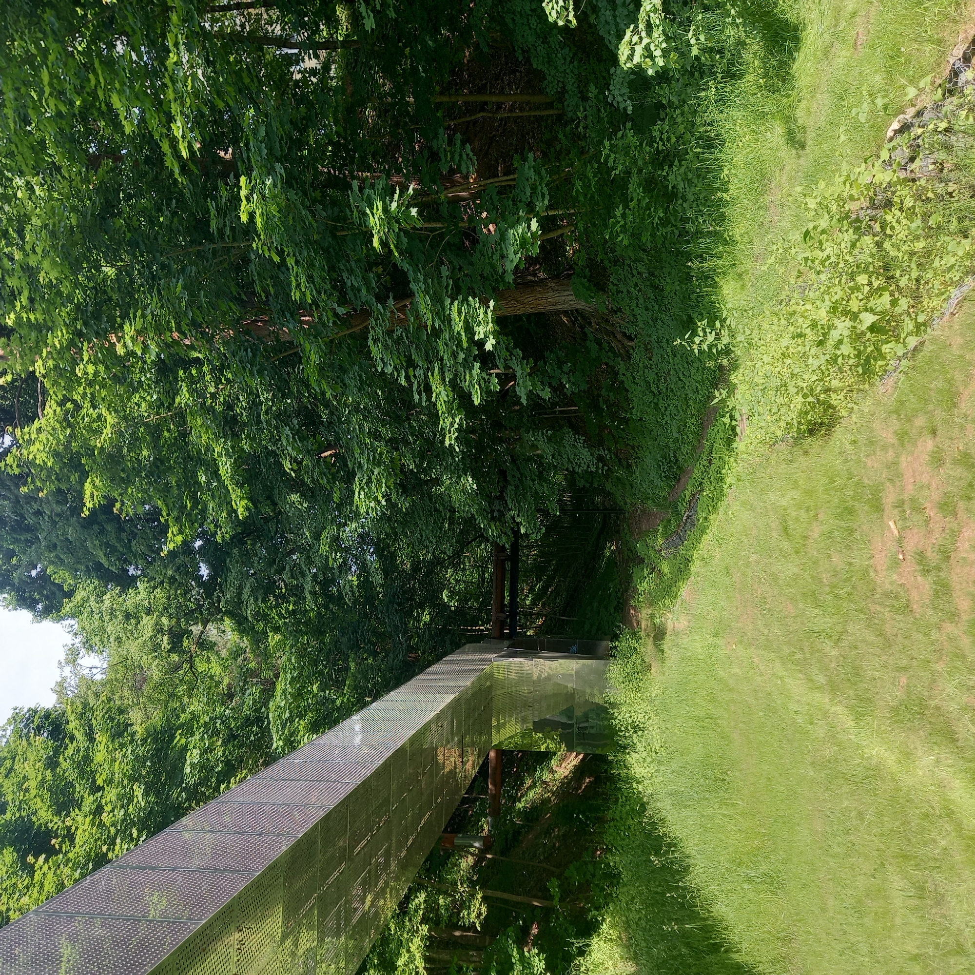 The image captures an outdoor scene in Zvenigorod, Russia, featuring a modern pedestrian bridge spanning a densely vegetated area. The bridge, positioned diagonally from the upper-left to the center-right, is constructed from perforated metallic panels that exhibit reflective properties, showing reflections of the surrounding foliage and sky. A vertical support column for the bridge, made of the same material, is visible near the center-left. Beneath the bridge, two dark, rust-colored pipes are suspended horizontally, with one pipe displaying an orange-colored fixture on its left side.
The background and the right side of the image are dominated by a dense canopy of green deciduous trees, indicating a spring or summer season. Sunlight filters through the foliage, illuminating various sections of the trees and casting some areas into shadow. The foreground consists of a bright green grassy expanse, some areas appearing mown and others wilder. A narrow, unpaved path or track winds through the center towards the background, disappearing into the dense vegetation beneath the bridge. A shallow ditch or stream bed runs along the edge of the grassy area and the path. The scene is illuminated by bright natural daylight. No individuals are present in the image.