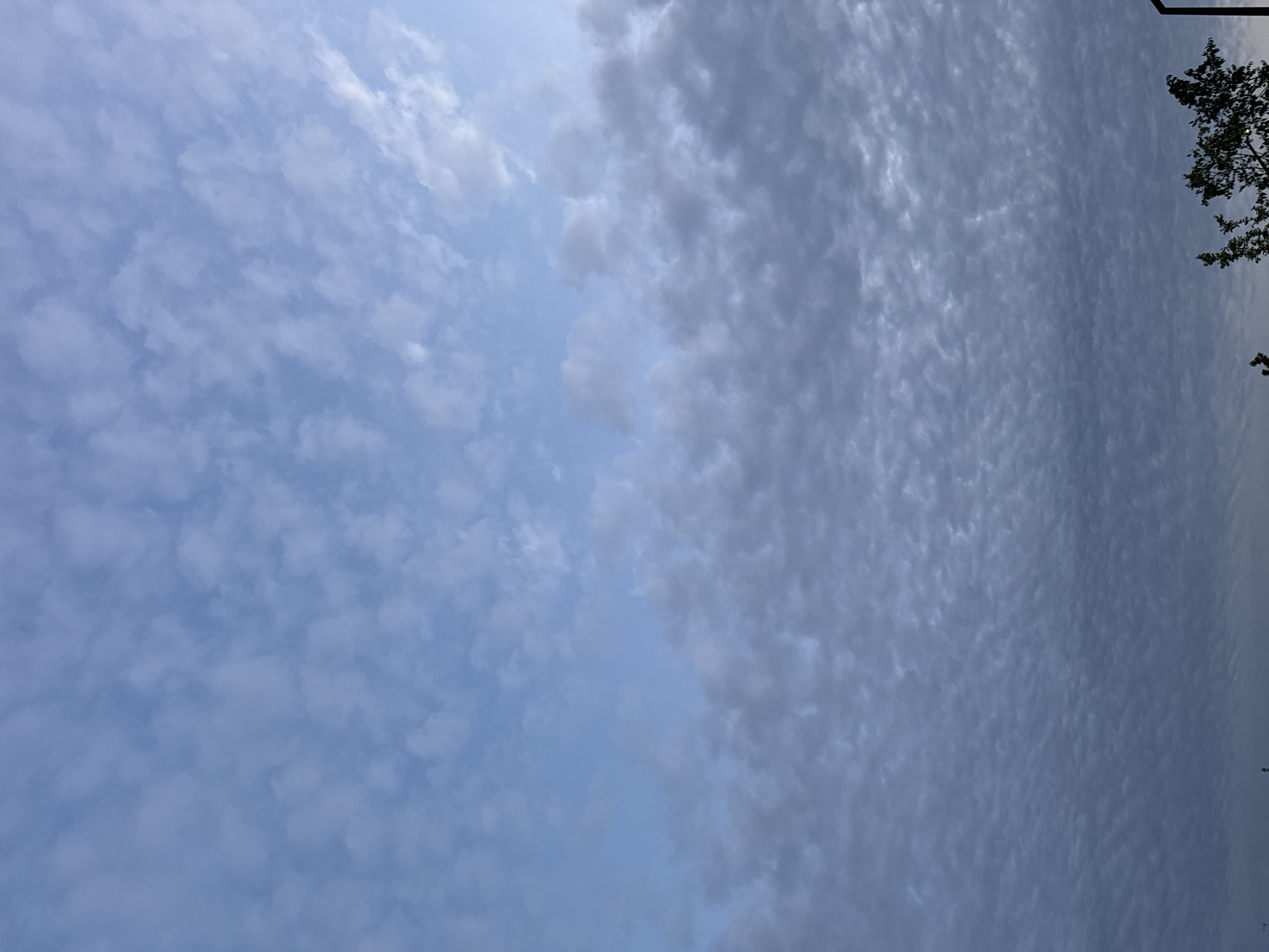 The image depicts a cloudy sky over Mejaniga, Italy. The sky is filled with Altocumulus clouds, which are arranged in distinct, small, puffy formations. These clouds appear to be in a lower altitude band, closer to the horizon, and transition to a lighter, more scattered layer higher up. The overall coloration of the sky ranges from a pale blue to a grayish hue, indicating potential for changing weather conditions. The bottom portion of the image shows the silhouette of trees and a vertical dark structure, possibly a lamppost or pole, which are partially obscured by the dim lighting. No people are visible in the frame.
