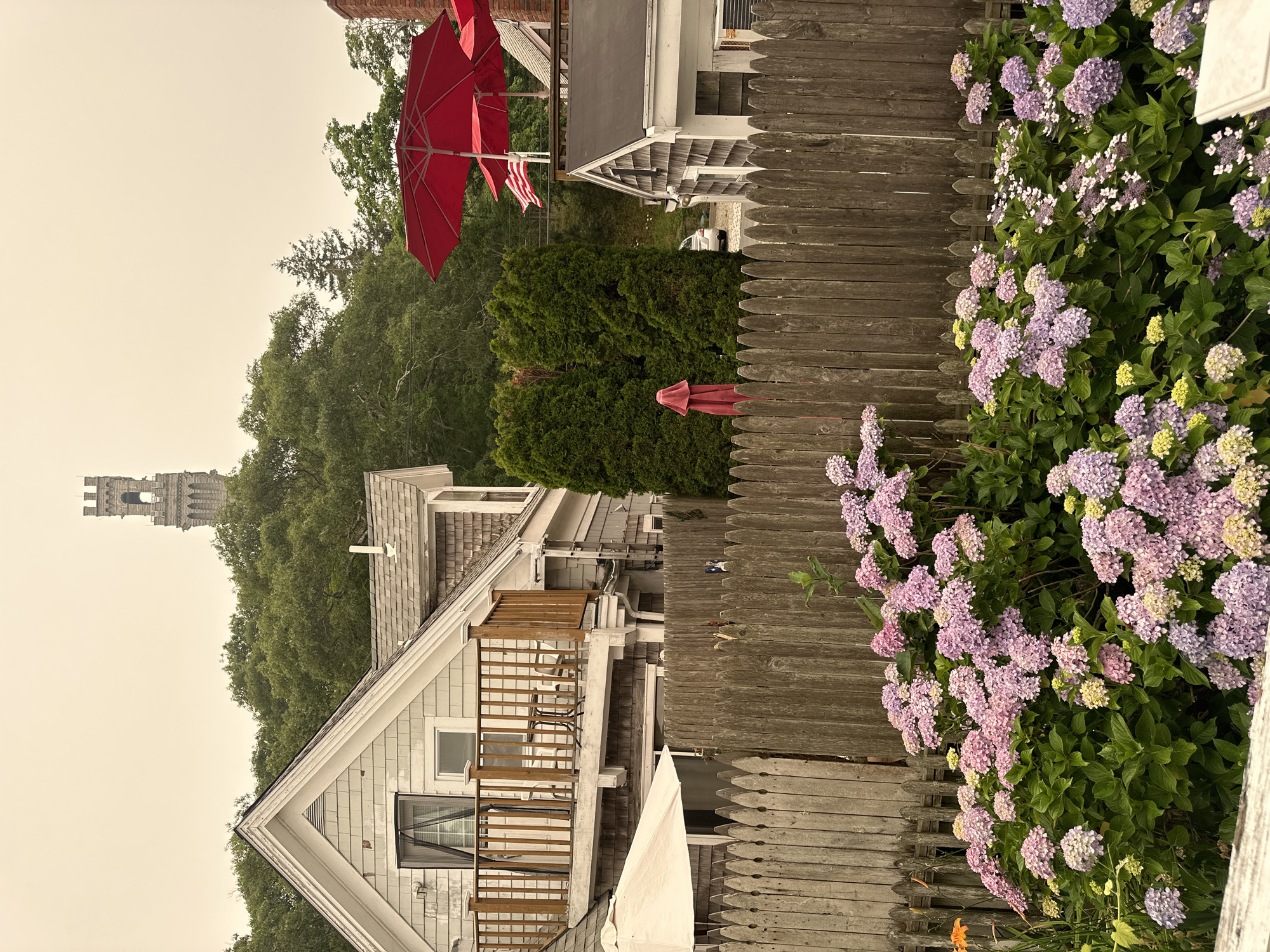 The image shows a backyard scene in Provincetown, Massachusetts. In the foreground, a wooden picket fence separates a garden of blooming hydrangeas from a walkway. Behind the fence, two houses are visible. The house on the left has a light-colored facade and a wooden deck. The house on the right is smaller and has a gray shingled exterior. In the background, a tall, stone tower, likely the Pilgrim Monument, rises above a dense line of trees. Several red umbrellas are set up on a deck, and a white patio umbrella is visible near the fence. The sky is overcast, suggesting a hazy or cloudy day. There are no people visible in the image. The environment appears to be residential and somewhat rustic, with a focus on outdoor living spaces.