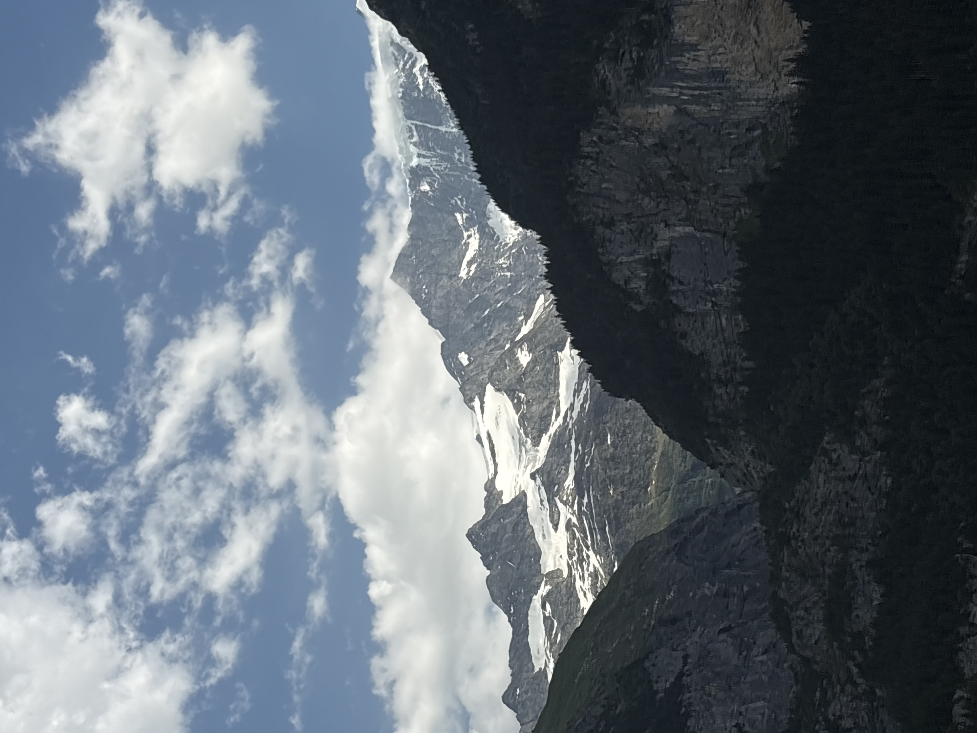 This is a vertical, landscape photograph taken from a low angle, looking up at a dramatic mountain scene. The primary subjects are a towering, snow-dusted mountain peak and a bright blue sky filled with white, fluffy clouds. The mountain's rugged, rocky face is partially covered in snow, creating striking contrasts. Dark green vegetation is visible on the lower slopes of the mountain and also in the foreground, obscuring part of the view.
The image appears to capture a moment of natural beauty, likely during daylight hours given the bright sky and clear visibility. The weather seems pleasant, with the sun illuminating the mountain and creating shadows that highlight its dramatic contours. The overall impression is one of grandeur and the raw power of nature.
While no people or specific objects are clearly identifiable, the scene evokes a sense of awe and perhaps the feeling of being in a remote, alpine environment. The location is contextually identified as Grindelwald, Switzerland, which is famous for its stunning mountain scenery, including the Eiger, Mönch, and Jungfrau peaks. The composition, with the mountain sharply angled against the sky, adds to the dramatic and imposing feel of the landscape. There is no visible text in the image.
