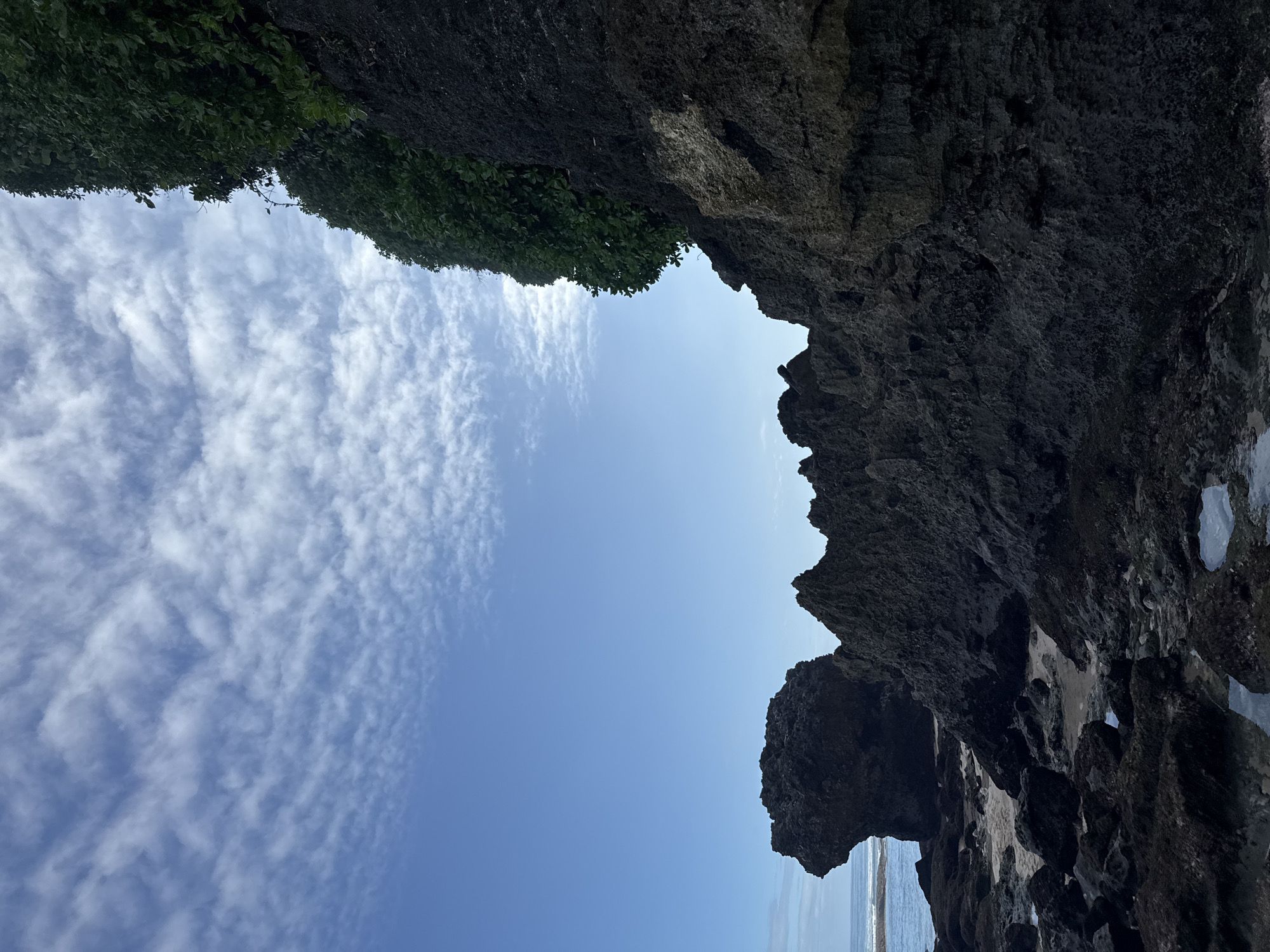The photograph is an upward-angled shot from what appears to be a cave or rock overhang. The sky is mostly blue with some cirrocumulus clouds. The upper left of the frame is filled with green foliage, possibly trees or bushes growing on the rock formation. The right side of the frame is dark, rough rock. The bottom of the frame includes a small strip of sand and ocean. The location is Kuta Selatan, Indonesia. The camera appears to be positioned inside a rock formation, looking upwards and outwards towards the sea and sky. There are no people visible in the photograph. The scene is static.