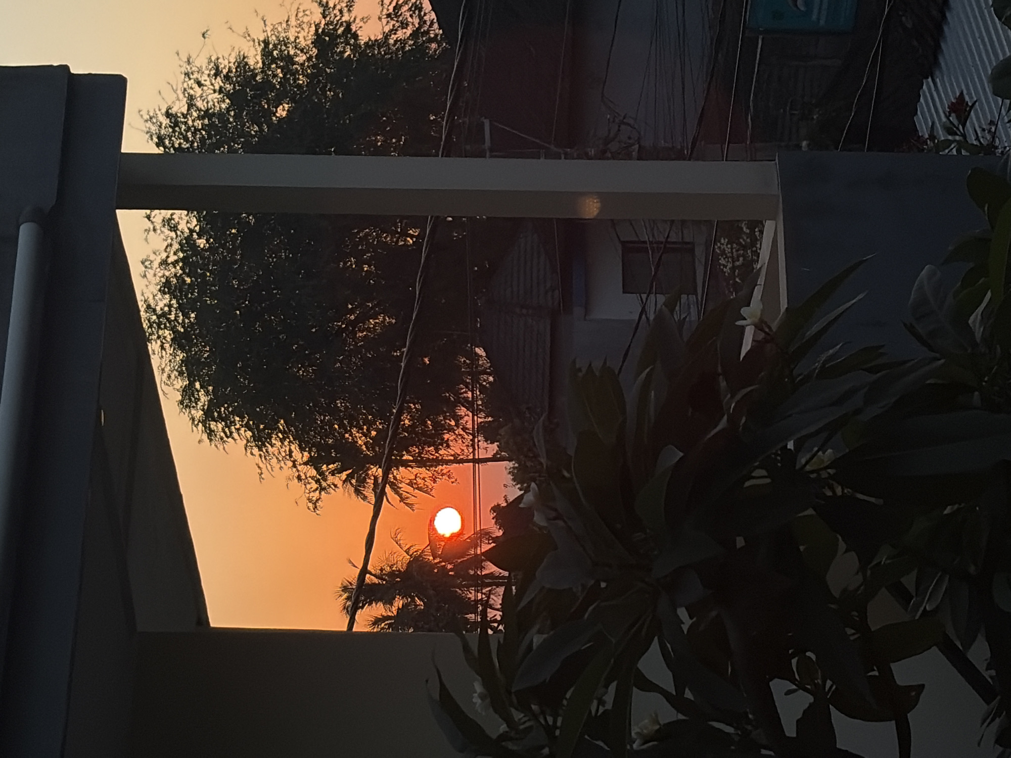 The image depicts a sunset viewed from a balcony in Kubu, Indonesia. The sky is a vibrant orange, characteristic of a tropical sunset. Silhouetted palm trees and other foliage are visible against the colorful sky. A building with a tiled roof and electrical wires can be seen in the midground. In the foreground, the dark silhouette of a plant with large leaves and white flowers partially obscures the view. The sun itself is partially eclipsed, creating a crescent shape. The scene is peaceful and serene, capturing the beauty of a sunset in a tropical location.