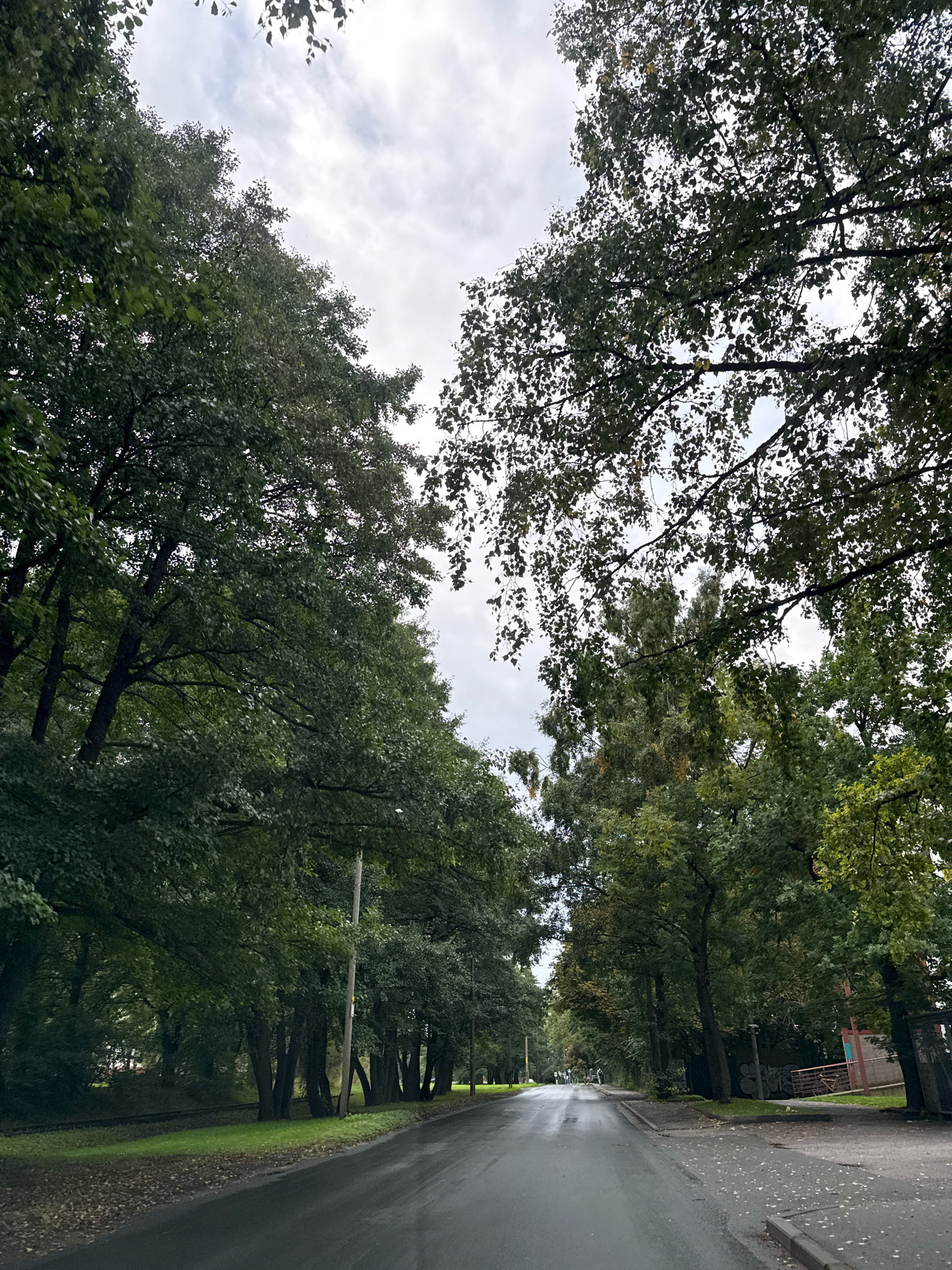 This image depicts a view down a wet, asphalt road lined with mature trees. The road appears to be a two-lane street with a sidewalk on the right. The trees on either side of the road form a canopy, with their branches reaching towards the overcast sky. There are some faint markings on the road surface, possibly indicating lanes or pedestrian crossings. On the left side of the road, there is a grassy area with some fallen leaves, and in the distance, train tracks can be seen. On the right side, there is a sidewalk, some graffiti on a wall, and a red structure that might be part of a building or a playground. A few distant figures are visible walking on the sidewalk further down the road. The overall scene suggests an urban environment with a significant presence of nature, possibly a parkway or a tree-lined residential street. The location is identified as the area around Rannamõisa tee 1 in Tallinn, Estonia, based on the visual cues of the road, trees, and architectural elements.