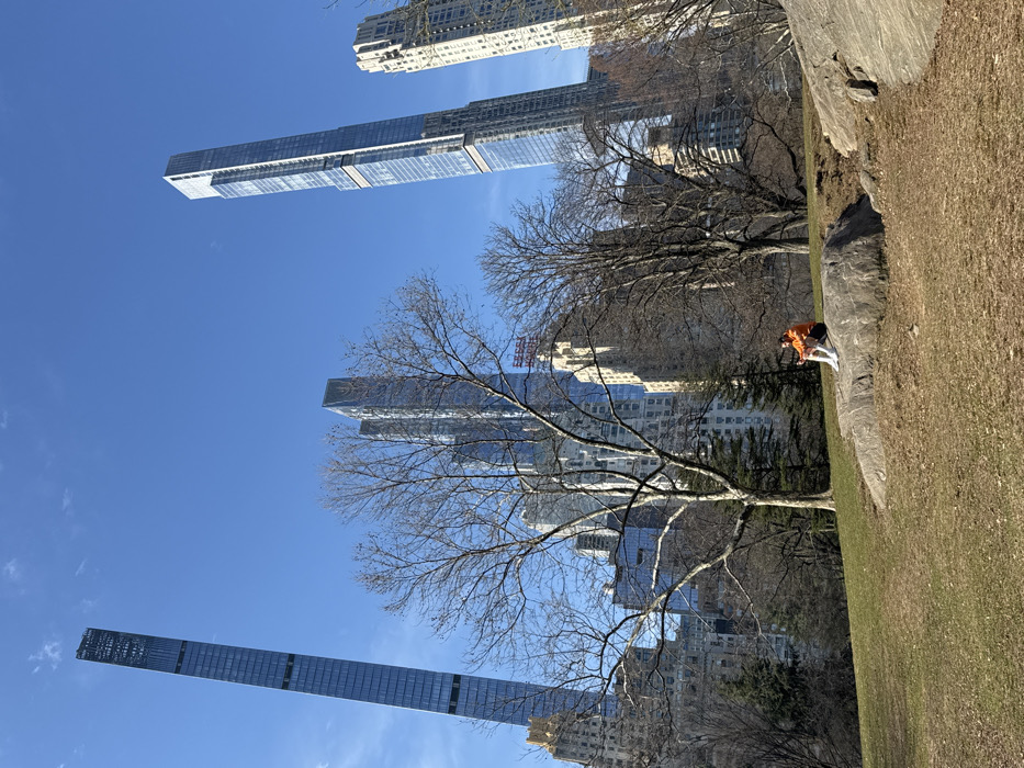 The image captures a wide view of Central Park in New York City, United States of America, with the Midtown Manhattan skyline in the background under a clear blue sky. In the foreground, a grassy expanse shows patches of brown and green, interspersed with several large, grey rock formations. Leafless trees, typical of late winter or early spring, are scattered throughout the park landscape, some obscuring parts of the distant buildings.
On a prominent rock formation in the mid-ground, slightly to the right of center, a single individual is seated. The person wears an orange hooded top, dark shorts, white socks, and white athletic shoes. They are oriented towards the left, looking down intently at an object held in their hands, consistent with interacting with a mobile device.
The background is dominated by a cluster of towering skyscrapers. The extremely slender 111 West 57th Street (Steinway Tower) is visible on the far left, while the distinct 220 Central Park South is prominent on the right. Numerous other modern glass and older stone residential and commercial high-rises contribute to the dense urban backdrop, including the visible "ESSEX HOUSE" sign on one building.