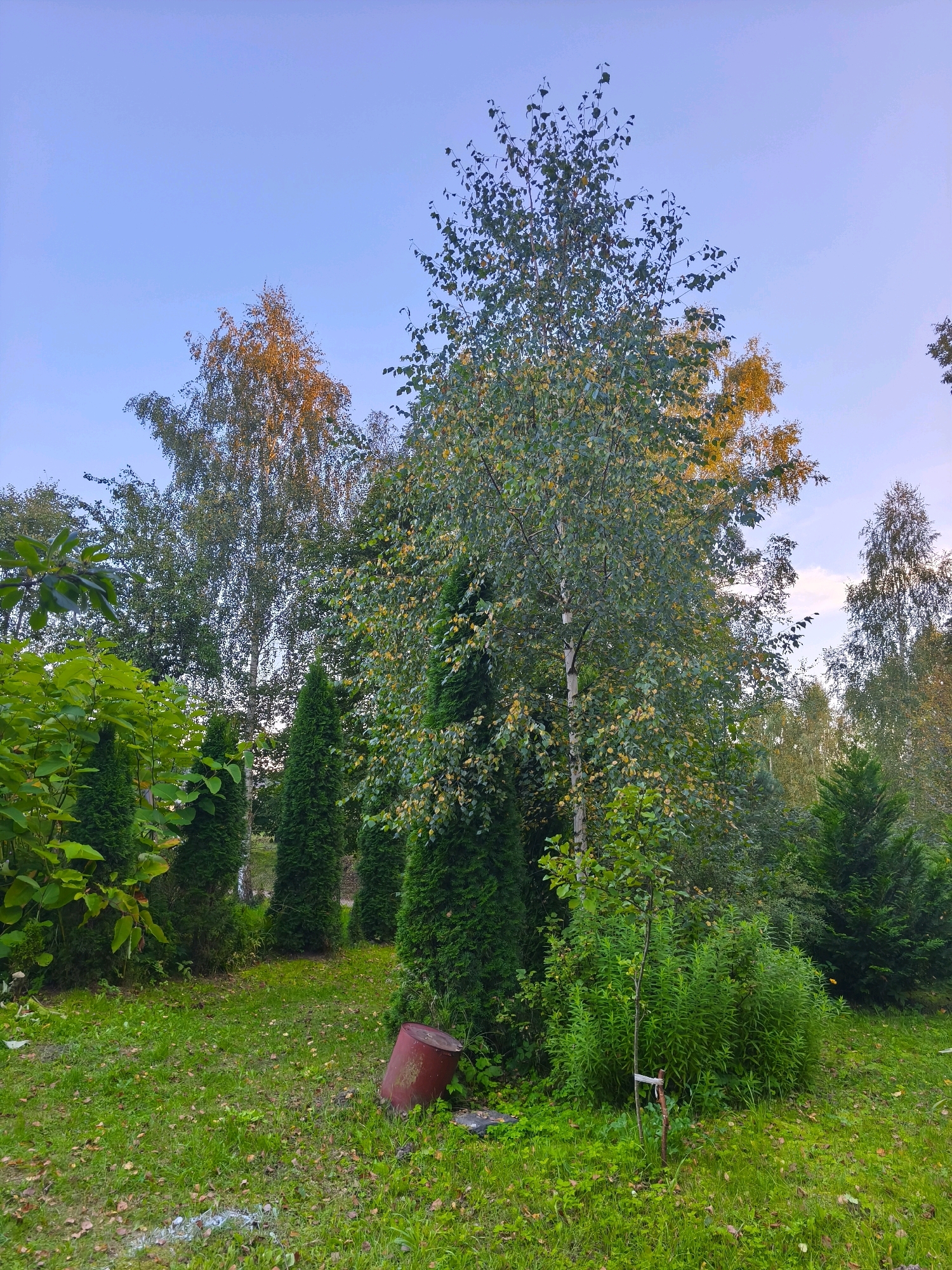 Memory