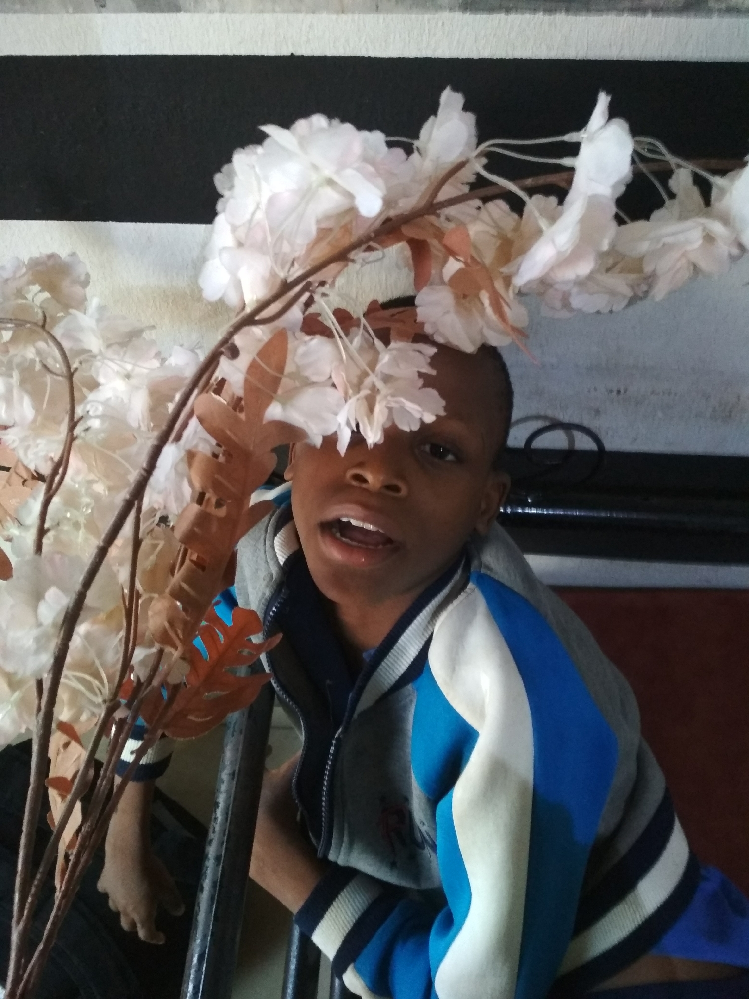 A boy is seated indoors, possibly in a city named Unknown, Unknown, with artificial white flowers and brown leaves partially obscuring his head and face. He is wearing a zip-up jacket with gray, white, and blue sections, along with a striped-sleeved undershirt. His mouth is open, and he appears to be speaking. In the background, there is a wall with a horizontal black stripe. A metal railing is visible in the foreground.