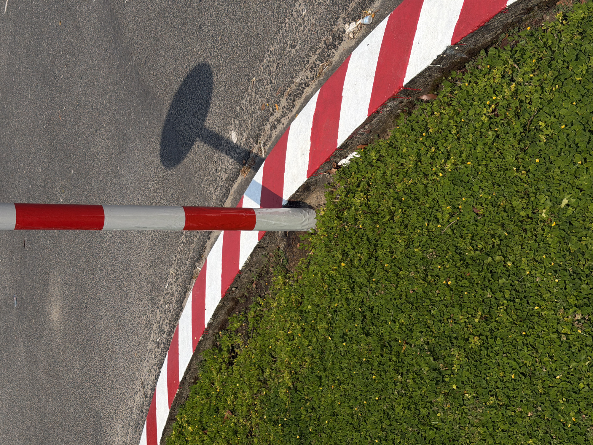 The image is a top-down view of a curved section of road and its border in Đà Nẵng, Vietnam. The road is asphalt and borders a curb painted with alternating red and white stripes. To the right of the curb is a patch of dense, green vegetation. A horizontal barrier, painted with alternating red and grey sections, extends from the lower-left corner across the road and into the vegetation. A shadow, presumably of a sign or other vertical object, is cast on the road surface. The overall scene is brightly lit.