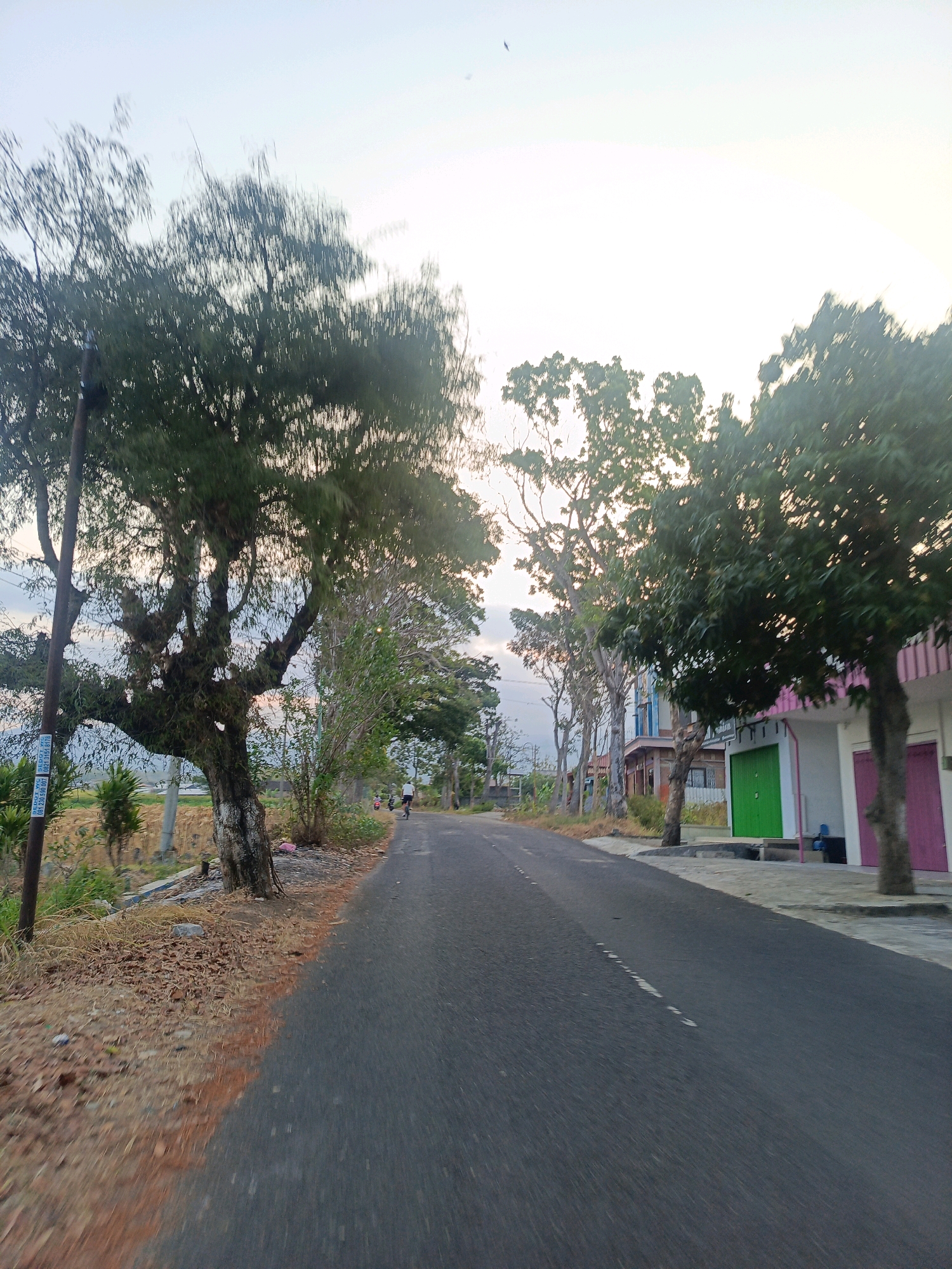 The image depicts a paved road in a semi-rural setting within the city of Nitikan, Indonesia. The road curves gently to the right, lined with trees and vegetation on both sides. On the left, large, mature trees with gnarled branches dominate the foreground, with a utility pole present. Beyond the trees on the left, a field or agricultural area is visible. On the right side of the road, several buildings with colorful doors (green and pink) are present. A person on a bicycle is seen in the distance on the right side of the road, and two motorcycles are also visible further down the road. The sky is bright and appears to be either early morning or late afternoon, with soft lighting. The overall impression is a quiet, residential or commercial area on the outskirts of a town.