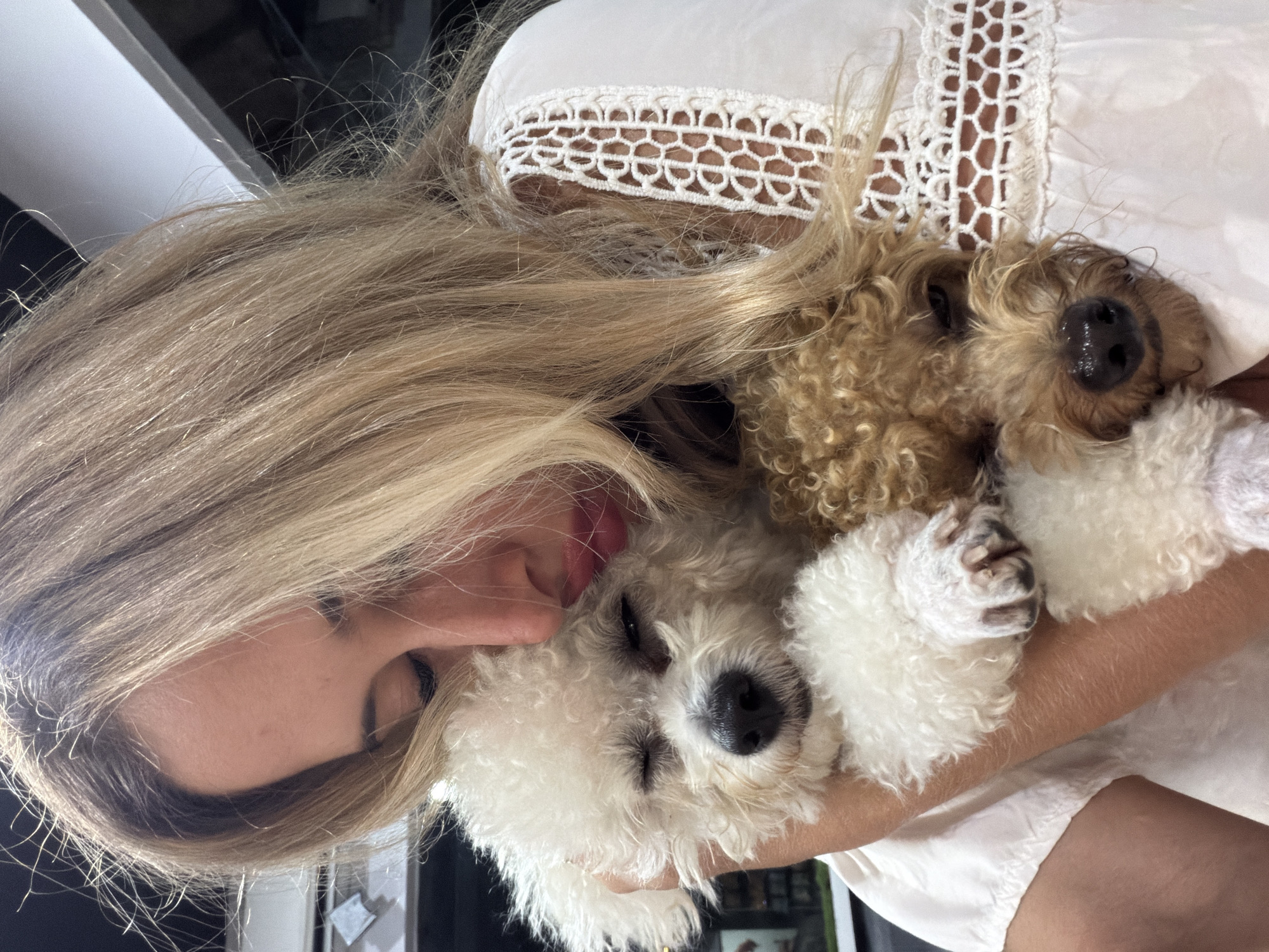 A woman with blonde hair is holding two small dogs in her arms. The dog on top is brown with curly fur, and the dog on the bottom is white with curly fur. The woman is wearing a white dress with a lace neckline. The scene is indoors. Information about the location in Kedewatan, Indonesia is not available in the image.