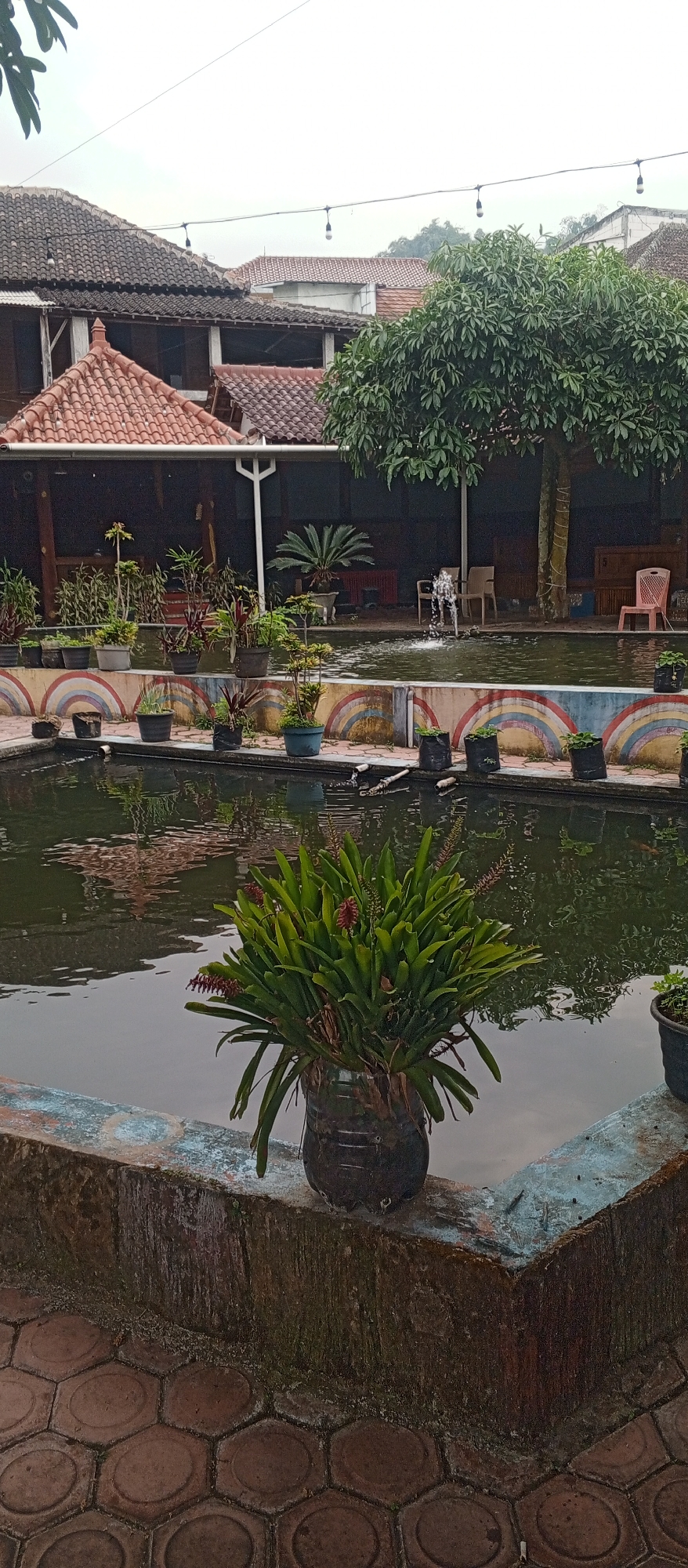 The image shows an outdoor scene at what appears to be a restaurant or resort in Plaosan, Indonesia. In the foreground, a large potted plant with green leaves and red flower stalks sits on the edge of a pond. The pond's edge is constructed of stone and decorated with painted rainbow motifs. The water in the pond is dark and reflects the surrounding structures. Beyond the pond, there are several buildings with traditional tiled roofs. One building has an open-air structure with wooden beams and a dark interior, lined with potted plants. Further back, a large tree with dense green foliage stands next to a building with a thatched roof. In the background, more buildings with tiled roofs are visible, along with some distant hills. A fountain is visible in the pond, creating a spray of water. There are several empty chairs and a pink plastic chair scattered around the area. The ground is paved with hexagonal bricks. The sky is overcast, suggesting cloudy weather.
