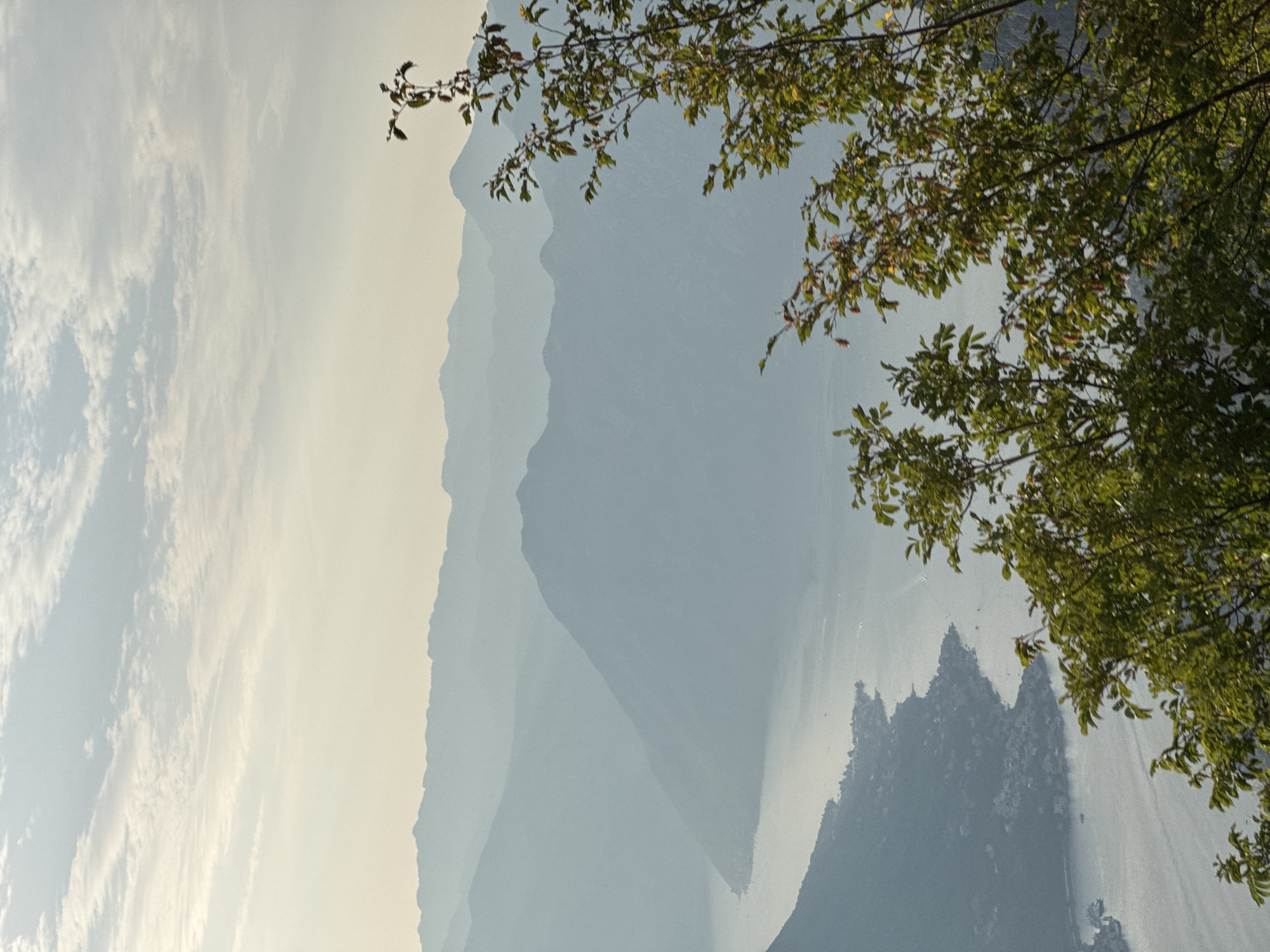 This vertical, medium shot captures a panoramic view of the Bay of Kotor from a high vantage point, likely overlooking the area of Žanjev Do, Montenegro. The scene is dominated by layers of hazy blue mountains receding into the distance, creating a sense of depth and atmosphere. The bay itself, a shimmering body of water, snakes through the landscape, with a narrow strip of coastline dotted with buildings visible along its edge. The water reflects the soft, diffused light of a pale sky, where thin, wispy clouds drift. In the foreground, the branches and foliage of a green tree intrude into the frame, adding a natural element and partially obscuring the view. The overall impression is one of serene natural beauty and vastness.