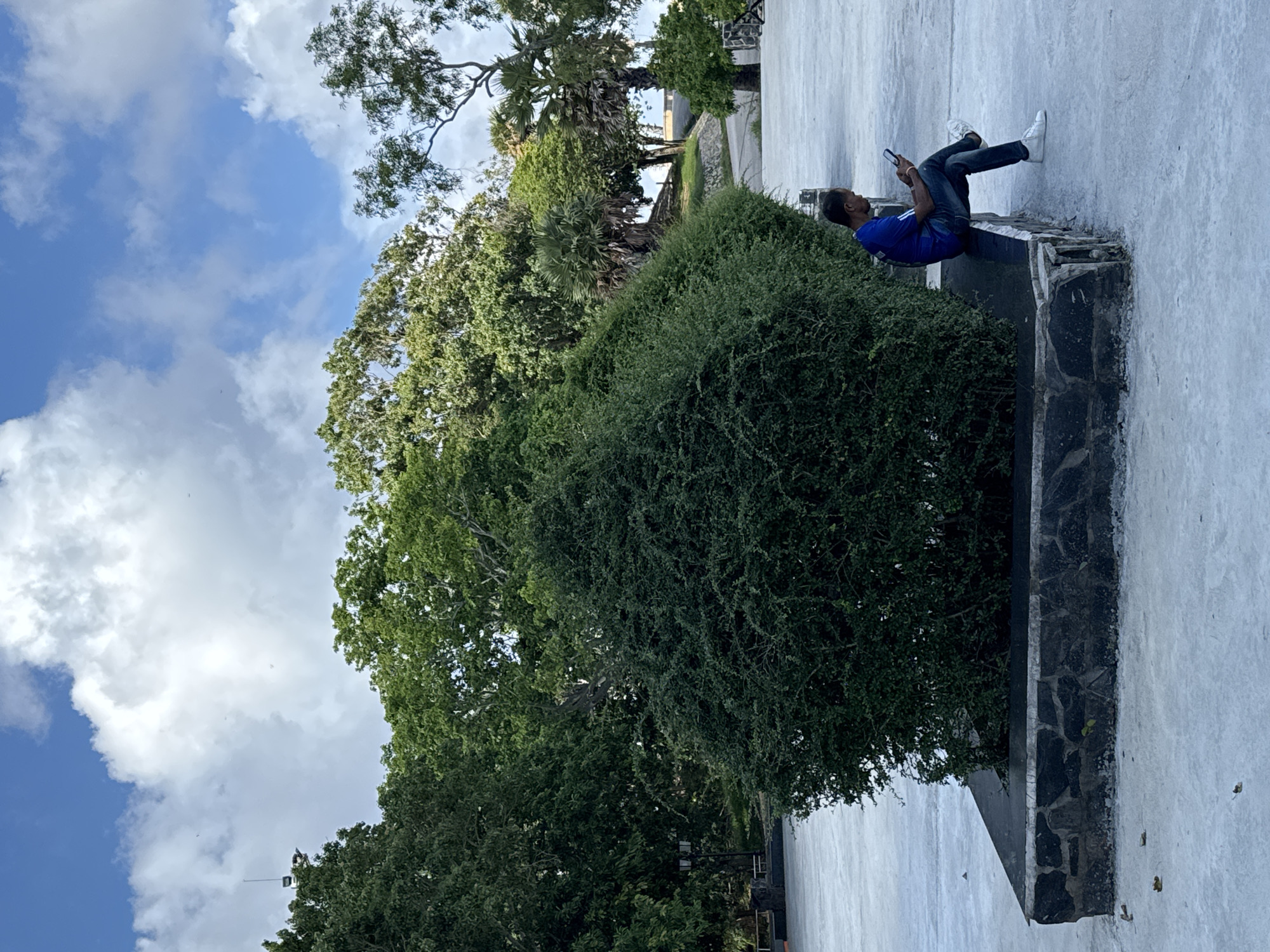 A man in a blue shirt and jeans sits on a stone bench facing a large, manicured green bush. He is holding a mobile phone in his hands and looking down at it. The man is positioned to the right of the bush. The ground in front of the bench and bush is a grey, paved surface. In the background, there are mature trees and a blue sky with white clouds. The scene appears to be an outdoor public space. The specific location in Rawai, Thailand is not discernible from the image itself, but the vegetation and architecture suggest a tropical or subtropical environment.