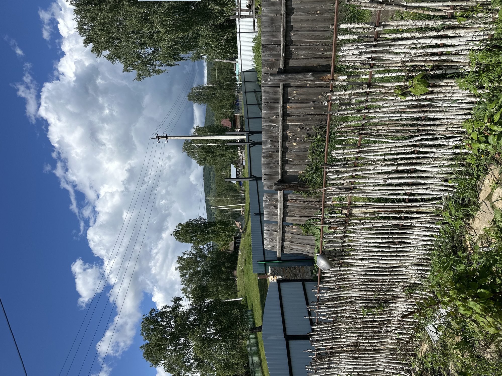An outdoor, eye-level, medium shot captures a rural scene under a bright, partly cloudy sky. The foreground is dominated by a rustic fence constructed from vertical, whitewashed birch branches. Behind this, a weathered wooden fence with vertical planks stretches horizontally across the frame. A gray metal fence with corrugated panels is visible further back, to the left. In the mid-ground, various trees, including birch and conifer varieties, are interspersed with small buildings and utility poles. The landscape rises gently towards a distant, tree-covered hillside. The overall impression is of a quiet, natural setting in a remote village.