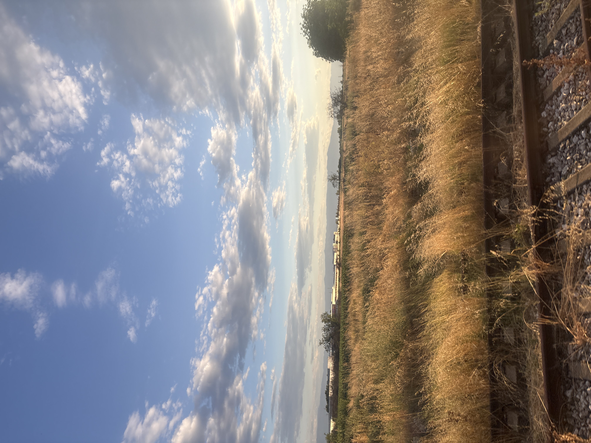 The image depicts a rural landscape under a partially cloudy sky. In the foreground, there are railroad tracks with gravel ballast and wooden ties. Beyond the tracks, a field of dry, golden grass stretches into the middle ground. In the distance, a line of buildings, possibly industrial or commercial, is visible against a backdrop of low mountains. A large, dark green tree is situated to the right of the frame. The sky is a bright blue with scattered white and gray clouds, some of which are illuminated by sunlight, suggesting it is either morning or late afternoon. The scene is likely located in the vicinity of Saedinenie, Bulgaria, given the context. There are no people or animals visible in the image.