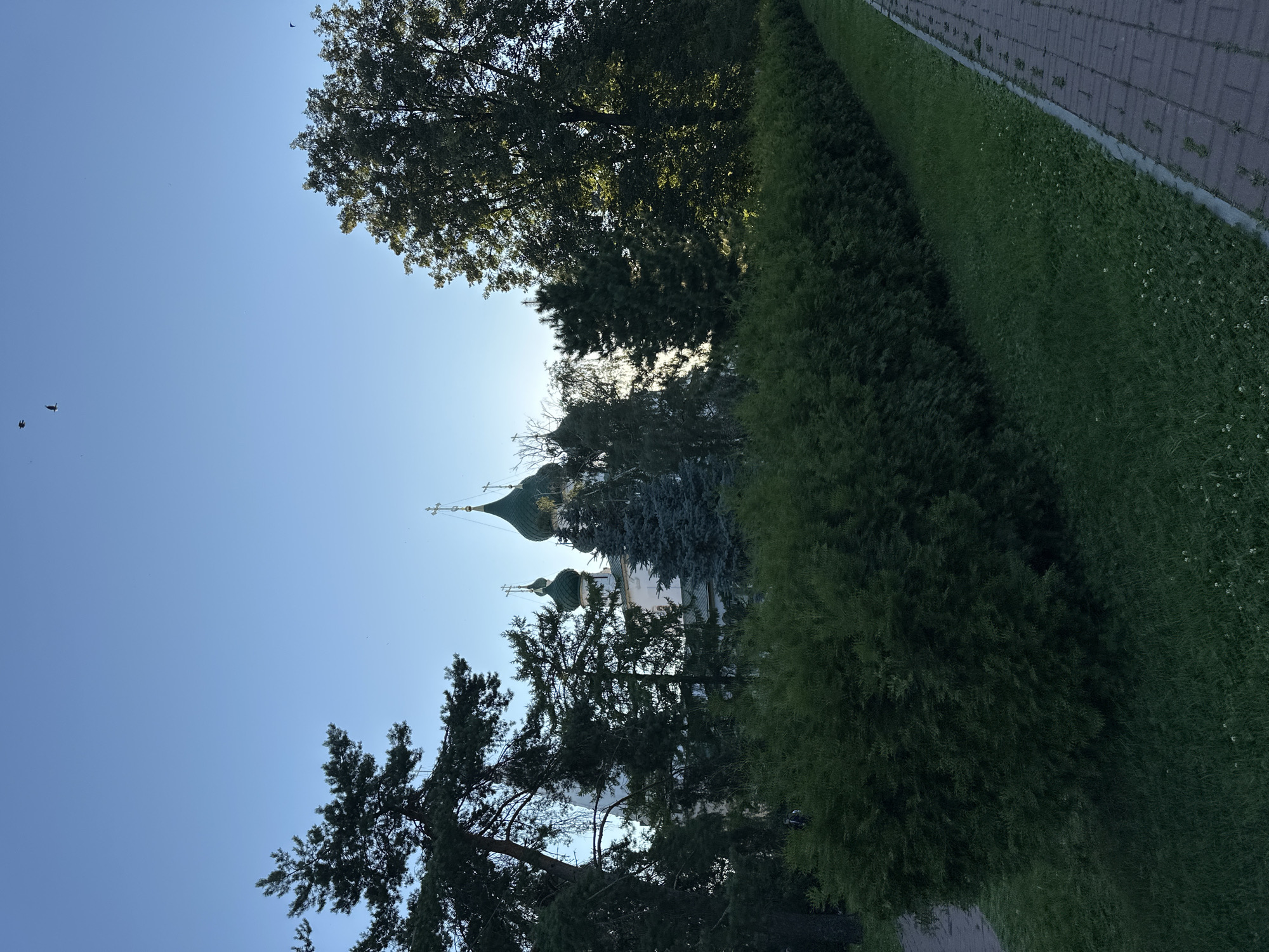A wide-angle shot captures the clear sky above several prominent green-domed buildings, likely churches, behind a dense line of trimmed evergreen bushes. The buildings are adorned with crosses, and some appear to be white. Tall trees, including pine and other varieties, frame the view on both sides. In the foreground, a well-maintained lawn with sparse white flowers runs alongside a paved walkway made of reddish-brown bricks. The scene suggests a peaceful, possibly historical, park or religious site, with the natural elements of trees and bushes contrasting with the man-made structures and pathways. The clear, light blue sky indicates daytime, likely late afternoon or early morning due to the soft lighting.