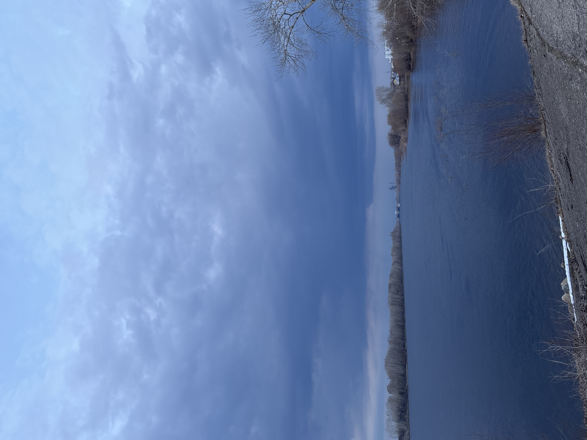 The image depicts a river scene in Chaikovsky, Russia, under a cloudy sky. The river's surface is dark and still. Along the riverbank is a line of bare trees. A concrete walkway or road runs parallel to the river on the right. Some bare branches extend into the frame in the upper portion of the image. In the distance, indistinct buildings and structures are visible along the riverbank.