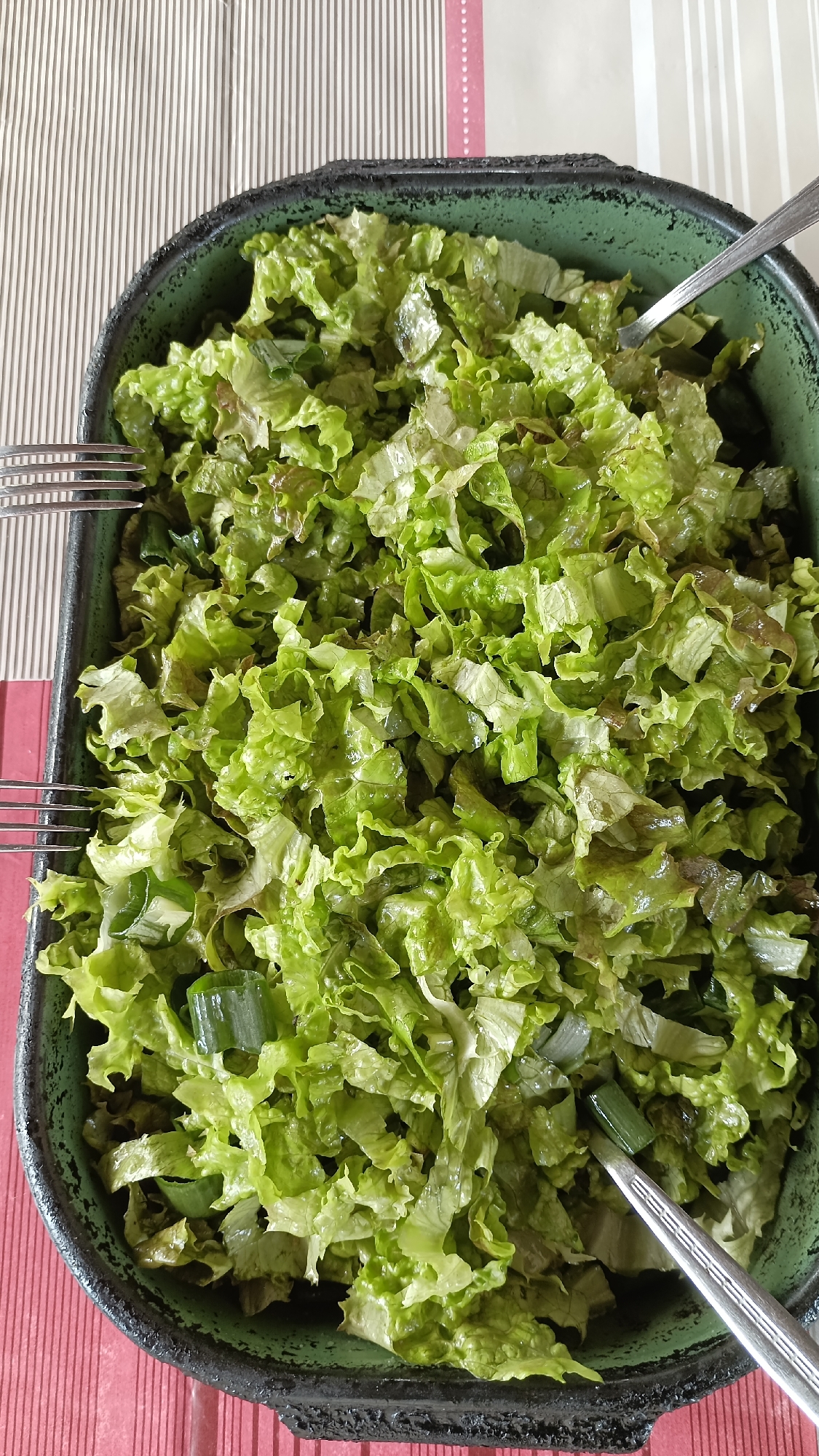 A close-up shot shows a large, green enameled metal dish filled with chopped lettuce and sliced green onions. Two forks are partially visible on the left side of the dish, and another fork lies within the salad itself. The dish rests on a striped tablecloth featuring beige, white, and red sections. There is no indication the photo was taken in Muzga, Bulgaria.