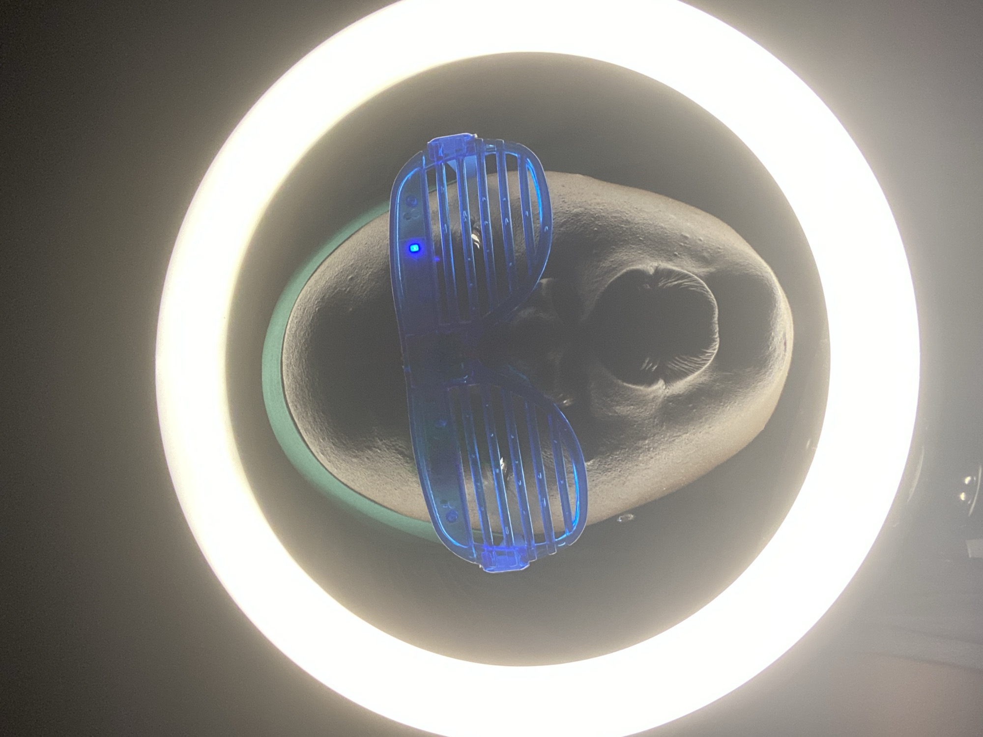 A photograph depicts a gray mannequin head wearing blue slatted sunglasses positioned within a circular ring light against a dark background. The environment is undefined and the location is not discernible as being in the city of Maigizo, Nigeria or elsewhere.