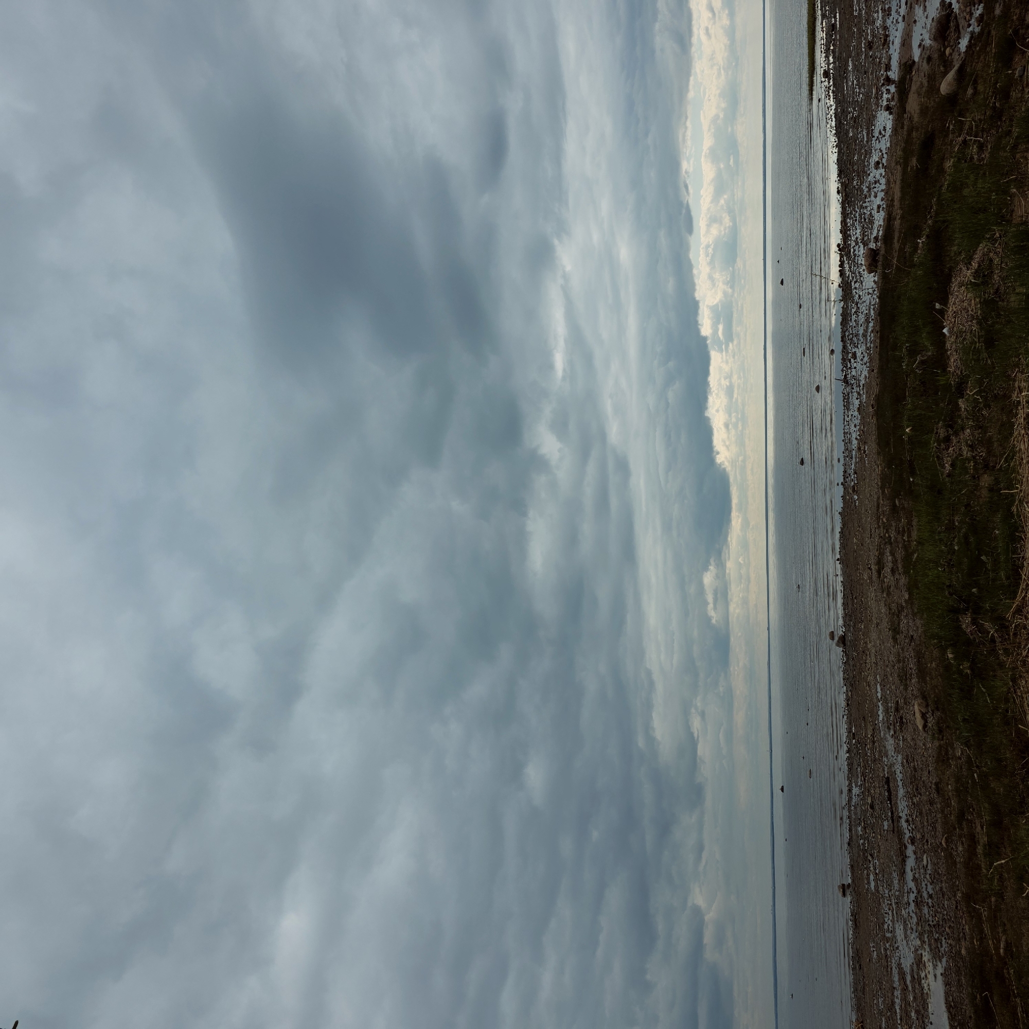 The image depicts a waterfront scene likely in Saint Petersburg, Russia, although specific architectural details or landmarks confirming the precise location are absent. The scene is dominated by a cloudy sky covering the majority of the image. Below the sky, a body of water stretches horizontally, possibly the Gulf of Finland or the Neva Bay. The shoreline is visible on the right side of the frame, consisting of pebbles, sand, and some vegetation. No people, animals or recognizable objects are visible in the water or on the shoreline. No activity is apparent in the scene.