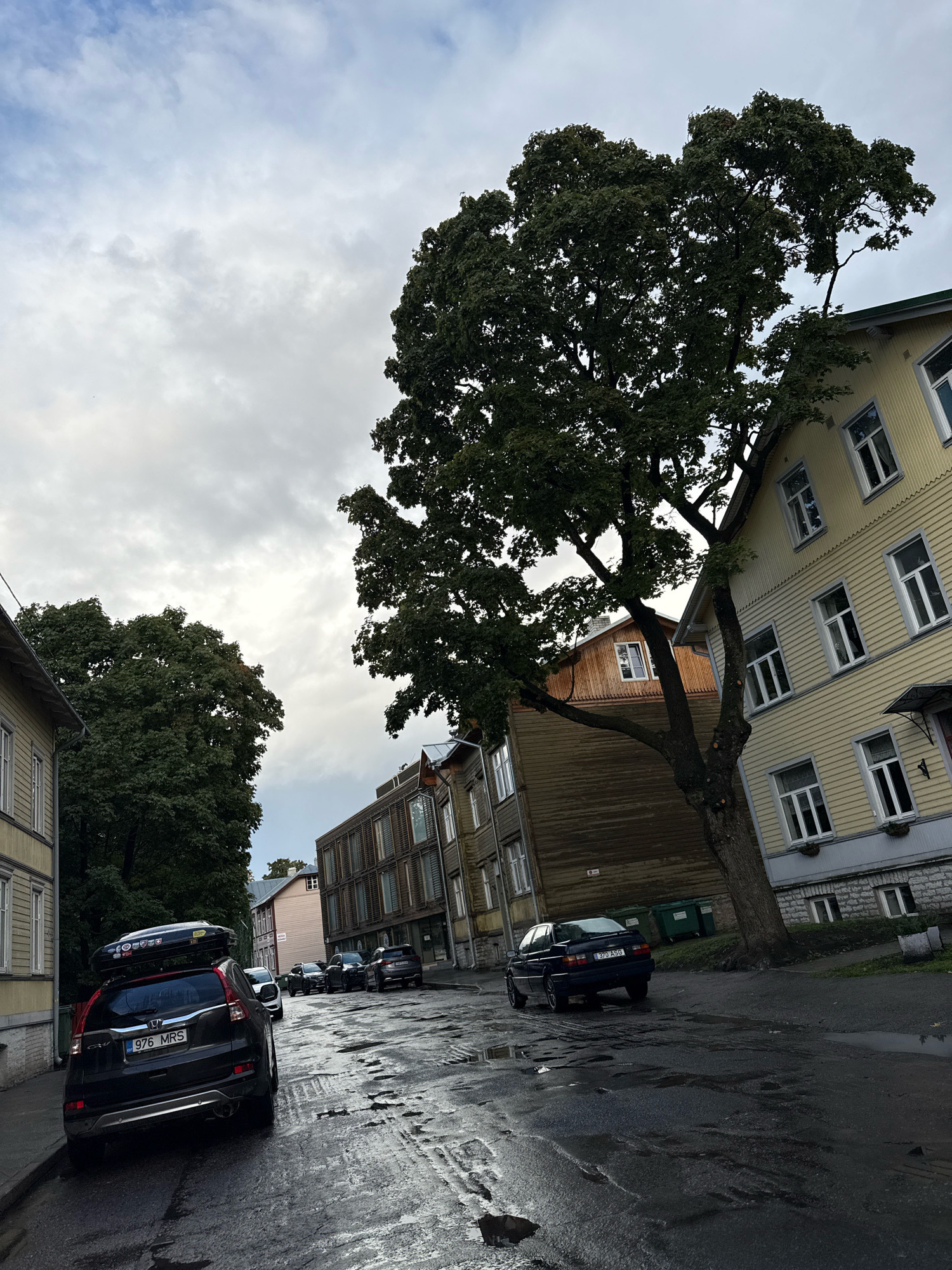 The image captures a street scene in Tallinn, Estonia, under an overcast sky. The wet asphalt road, marked with potholes and puddles, suggests recent rain. Several cars are parked and driving on the street. In the foreground, a black SUV with a rooftop cargo box is parked on the left, its license plate reading "976 MRS". Further down the street, a dark sedan with license plate "370 ASG" is also visible.
The street is lined with buildings of varying architectural styles. On the right, a pale yellow wooden building with multiple windows dominates the frame. Adjacent to it is a darker wooden building with a distinctive wooden slat facade. To the left, a light-colored building with white trim is partially visible. Beyond these structures, more buildings, including a red-tiled roof and a modern building with a grid-like facade, can be seen.
A large, mature tree with dense foliage stands prominently in the middle of the scene, its branches extending over the street and towards the buildings. Two green waste bins are positioned near the base of the tree. The overall atmosphere is one of an urban street on a cloudy day, possibly in a residential area of Tallinn.