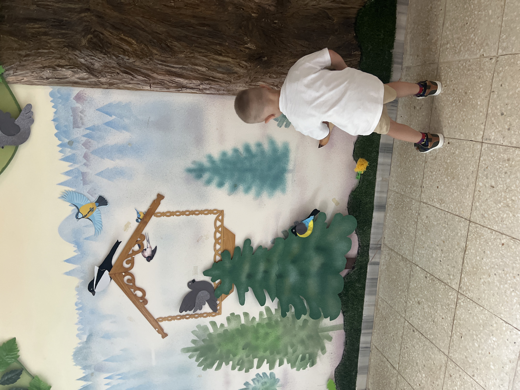 The image displays an indoor scene, likely in Марковский, Russia, featuring a young boy interacting with a large, elaborate wall mural depicting a forest and bird theme. The boy, viewed from behind, wears a white short-sleeved t-shirt, light brown shorts, and sneakers with colorful socks. His head is bowed, suggesting he is intently observing something near the base of the mural.
The wall mural is brightly colored, featuring stylized blue and light green trees in the background, resembling a wintry or serene forest. Several three-dimensional bird cut-outs are affixed to the mural, including a prominent blue tit in flight, a black and white magpie perched on a wooden decorative element, and other smaller birds. A larger, dark green spruce tree is a central feature on the mural, with other similar, lighter green trees placed below it. A rustic wooden structure, possibly representing a bird feeder or decorative perch, is also attached to the wall.
To the far left of the image, a large, textured dark brown element resembling a tree trunk or column extends upwards. Along the bottom edge of the wall, there's a strip of artificial green grass, further enhancing the natural theme. The floor is covered with light-colored, speckled square tiles. The overall setting appears to be a child-friendly environment, such as a play area, school, or themed room. No visible text is present in the image.