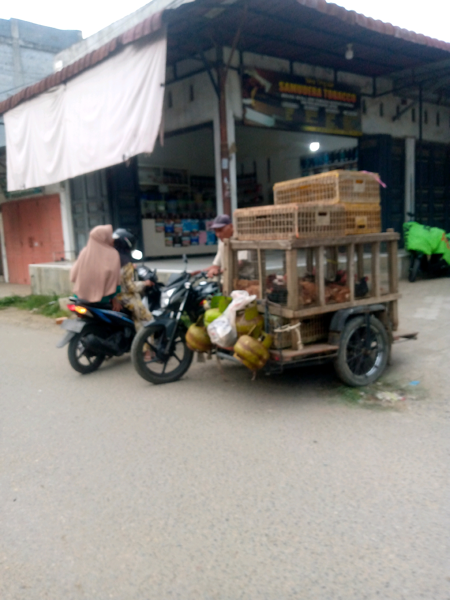 A horizontal, slightly blurred, outdoor, daytime, street-level, candid photograph taken in the city of Keudegeudong, Indonesia, depicts a street scene with a man selling chickens from a mobile cart attached to a motorcycle.
In the foreground, a paved road takes up the majority of the lower half of the frame. To the left, a black motorcycle is parked, and a person wearing a beige headscarf and patterned clothing is seated on it, facing away from the viewer. The motorcycle's brake light is illuminated. Next to this motorcycle, another black motorcycle, also parked, is partially visible.
The central focus of the image is a wooden cart, towed by a motorcycle, that serves as a mobile chicken vendor. The cart is constructed of wood and wire mesh, and it contains several live chickens. Two wooden crates are stacked on top of the cart. Hanging from the side of the cart are several green coconuts. A man, wearing a light-colored long-sleeved shirt and a dark cap, stands next to the cart, appearing to be attending to his merchandise.
In the background, a row of shops with awnings lines the street. One shop has a prominent banner with yellow lettering that reads "SAMUDERA TOBACCO." White tarpaulins are draped over the awnings of some of the shops. The buildings appear to be made of concrete and have open storefronts. Further to the right, a person wearing a bright green jacket is visible near another parked motorcycle. The overall impression is of a busy commercial street in a small town or city.