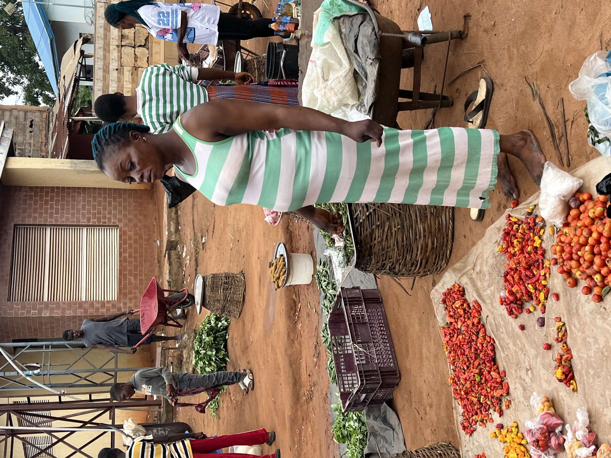 At a market stall in Nkpor, Nigeria, a pregnant woman in a green and white striped sleeveless dress stands facing left, looking slightly downward. In the background, a man in a grey sleeveless shirt pushes a red wheelbarrow. To the left, a boy in a grey hoodie holds some greenery. Further left, a person in a yellow and black striped shirt and red pants is visible. In the foreground, a tarp displays a large pile of red chili peppers, along with smaller piles of yellow and red peppers, and some round red fruits, possibly tomatoes. A dark purple crate sits to the left of the tarp, and woven baskets are scattered throughout the scene. Several bottles of beverages are visible near a black bucket. The ground is composed of reddish-brown dirt.