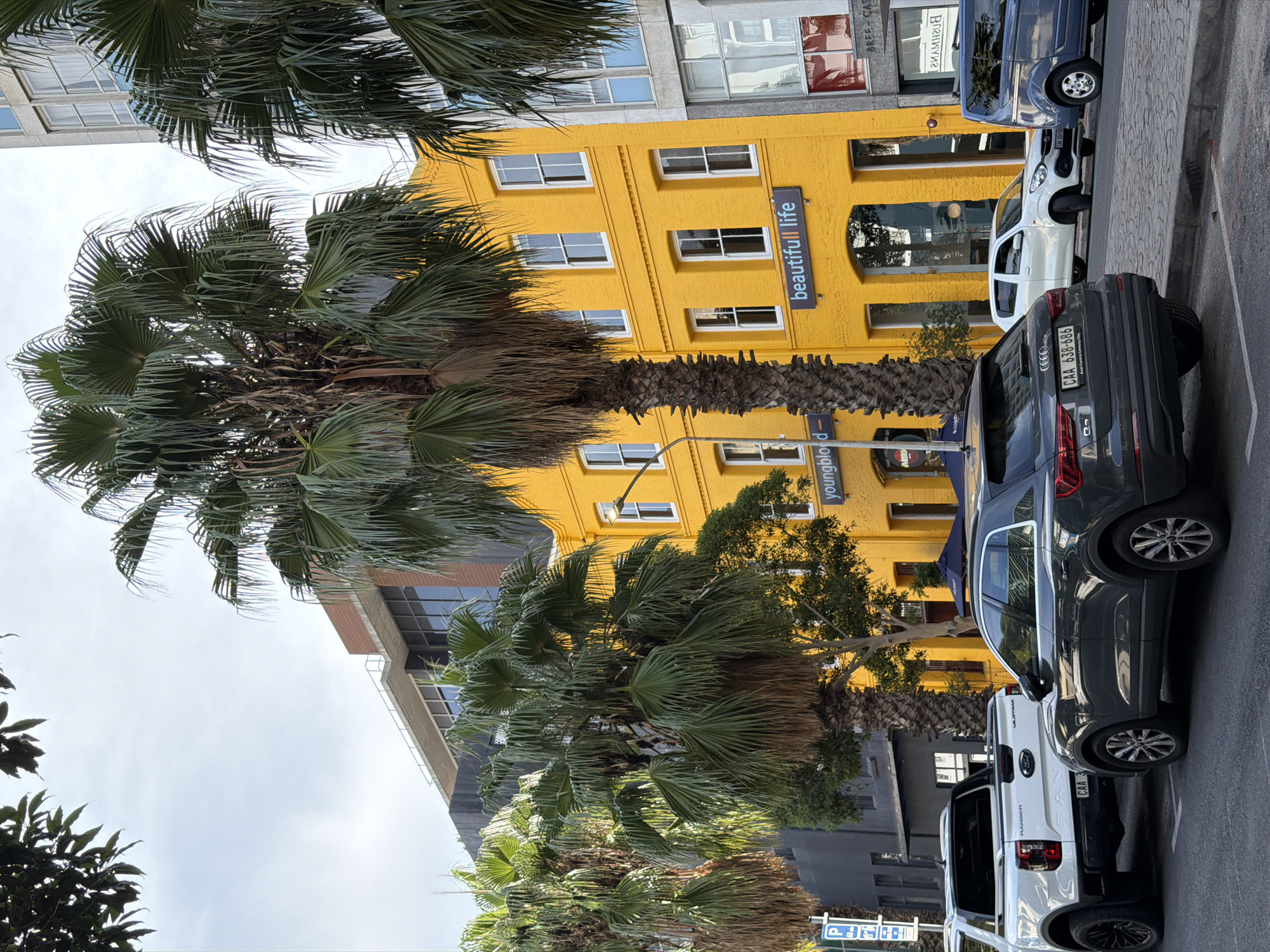 The image depicts a street scene in Cape Town, South Africa. A bright yellow, multi-story building stands prominently, adorned with the words "beautiful life" on a vertical sign. Street parking is evident, with several cars lined along the curb. Palm trees, indicative of the city's subtropical climate, frame the building. Signs that say "youngblood-" and "BREE-CAS" are visible, which identifies the image location as Bree Street.