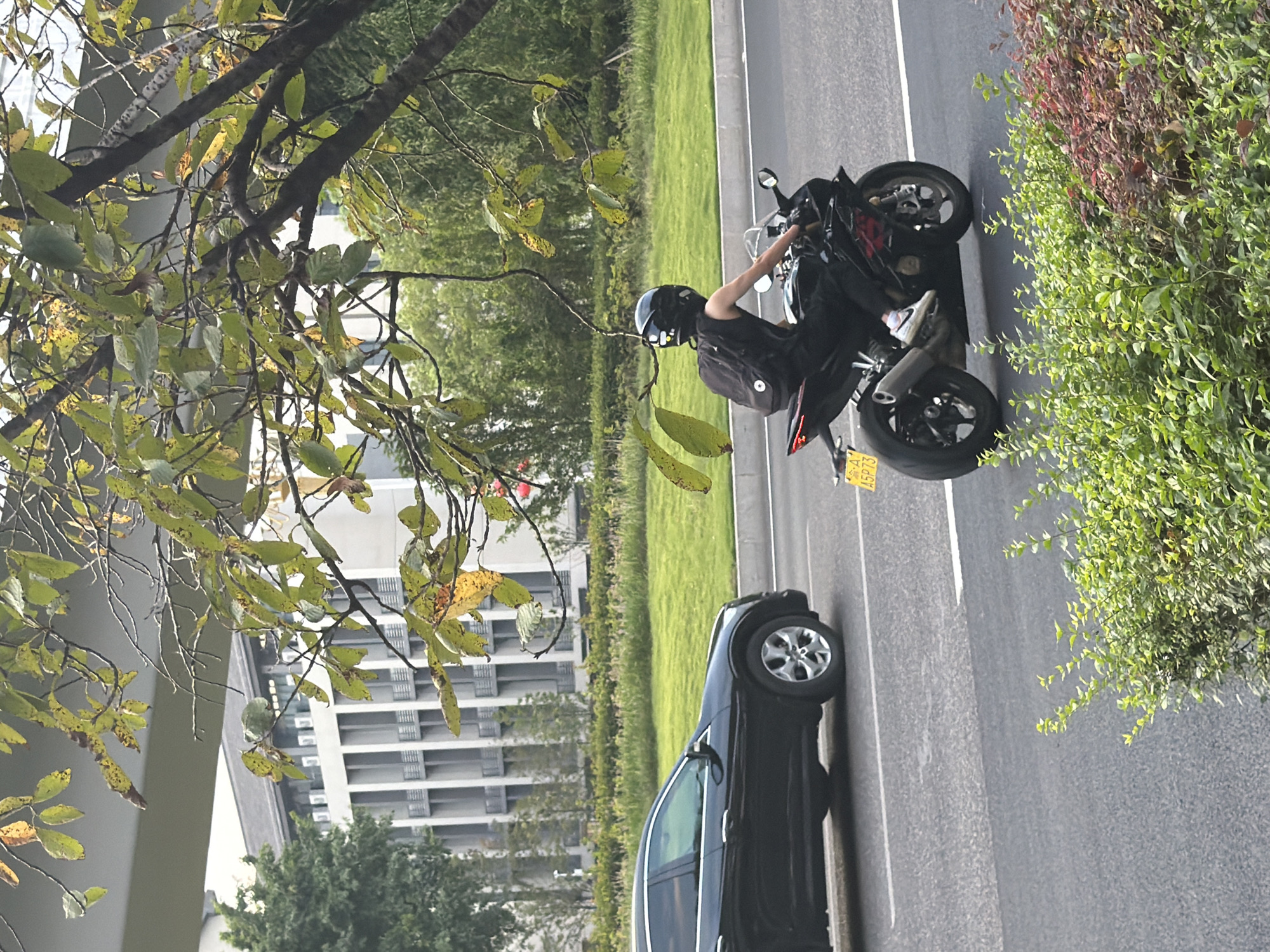 An image taken in the city of Jiangjin, China, shows a black motorcycle with a rider wearing a black helmet and a black backpack on a paved road. The motorcycle has a yellow license plate with the characters "A5P73". To the left of the motorcycle, a black sedan is driving in the same direction. In the background, a modern building with a grid-like facade is visible behind a row of green bushes and trees. The scene is framed by tree branches with green and yellow leaves, suggesting it might be autumn. The lighting indicates it is daytime, with a slightly overcast sky.