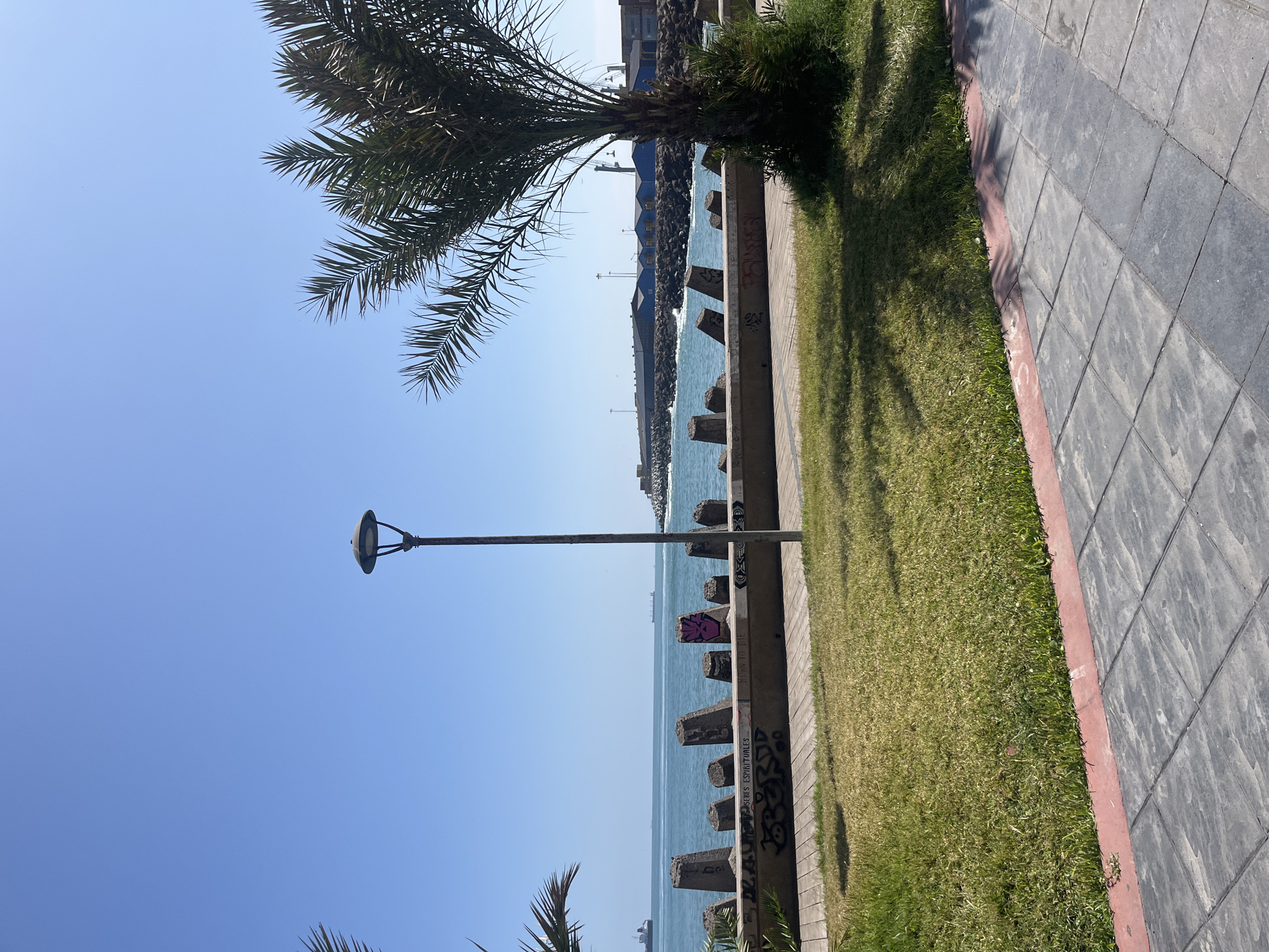 The image shows a seaside promenade in Arica, Chile. A palm tree and a street lamp are visible along a walkway composed of gray tiles with a red border. A grassy area is adjacent to the walkway, separated by a low concrete barrier with graffiti. The ocean is visible beyond the barrier, with tetrapods along the shore. In the distance, buildings and port infrastructure can be seen. The sky is clear and blue.