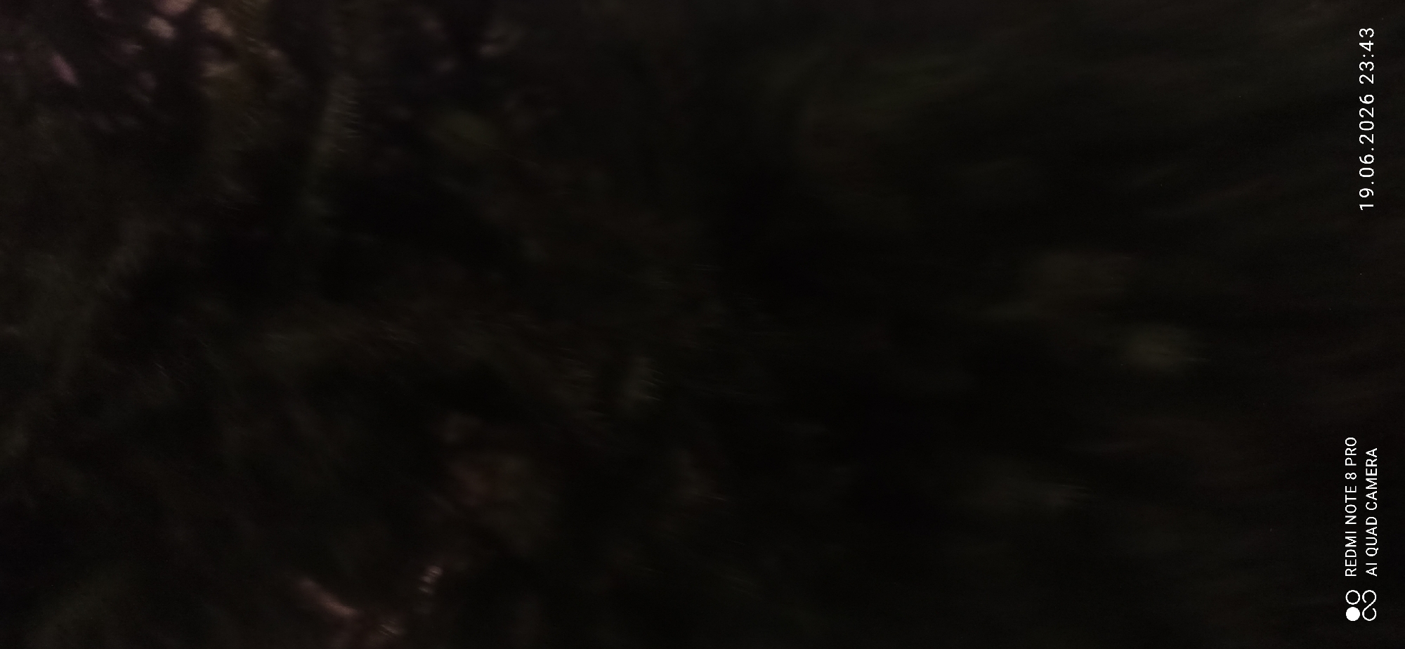 The image is a dark, blurry photograph of what appears to be foliage, possibly trees or bushes, at night. The lighting is dim, and there are some faint highlights that suggest an artificial light source is present but not directly visible. In the bottom left corner of the image, there is text that reads "REDMI NOTE 8 PRO AI QUAD CAMERA". In the bottom right corner, there is a timestamp that reads "19.06.2026 23:43". The overall impression is that this is a casual photograph taken in a natural or semi-natural setting during nighttime. There are no discernible people, specific objects, or actions taking place.