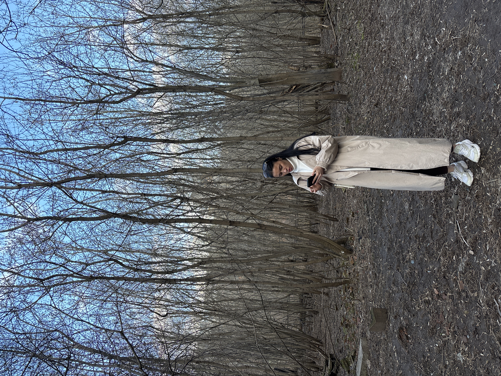 The image captures a young woman standing amidst a dense, bare forest or wooded area, characteristic of late winter or early spring in Perm, Russia. The scene features numerous slender, leafless deciduous trees with intricate branches reaching towards a clear, bright blue sky. The ground is dark, appearing muddy and covered with an accumulation of fallen leaves, twigs, and natural debris.
The subject is a woman with long, dark hair, wearing sunglasses perched on her head. She is dressed in a long, light beige or off-white trench coat over a white high-neck top, possibly a turtleneck. She wears white, chunky athletic sneakers. Her gaze is directed downwards at a black smartphone she holds in her hands, indicating she is engrossed in its use. The overall impression is a casual outdoor moment. The time of day appears to be daytime, with ample natural light. No visible text is present within the frame.
