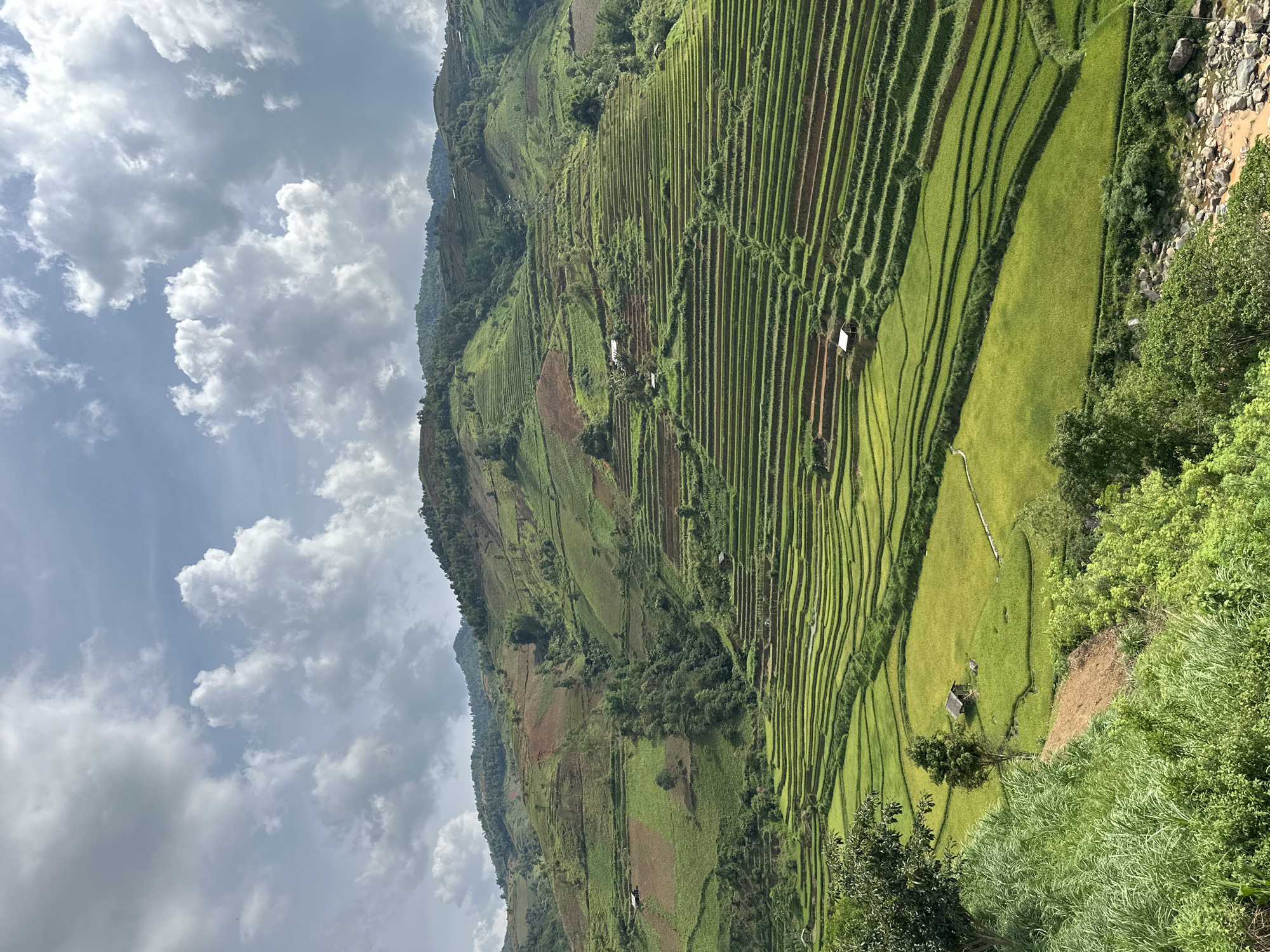 The image presents a wide, vertical view of meticulously crafted rice terraces cascading down the slopes of a mountain in Khao Mang, Vietnam. The scene is dominated by the intricate patterns of the terraced fields, which stretch across the vast hillside, showcasing shades of vibrant green from cultivated rice paddies, interspersed with areas of reddish-brown earth.
Several small, simple structures, likely shelters or farm buildings with white roofs, are scattered amongst the terraces. The mountain itself is covered with a mix of the cultivated rice fields and natural vegetation, including dense clusters of trees and bushes, particularly in the upper and far-right sections. To the bottom right, a rocky riverbed or stream is visible, bordered by lush green foliage and tall grasses.
The sky is partly cloudy, featuring large, puffy white and grey clouds that suggest a bright but diffused daylight, indicating it is daytime, likely late morning or early afternoon. The terraced landscape implies ongoing agricultural activity, specifically rice cultivation. No people or visible text are present in the image, emphasizing the natural beauty and the large-scale human alteration of the landscape for farming. The overall impression is one of a serene, expansive, and enduring agricultural landscape.