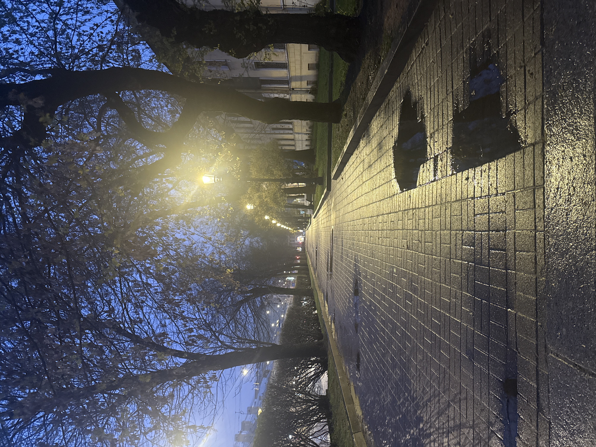 The image depicts a wet, brick-paved walkway in Saint Petersburg, Russia, lined with trees illuminated by streetlights at dusk or dawn. The walkway stretches into the distance, reflecting light from the street lamps. The sky is a gradient of blue, indicating early morning or late evening. Buildings are faintly visible behind the trees on the left side. Puddles are present on the walkway.