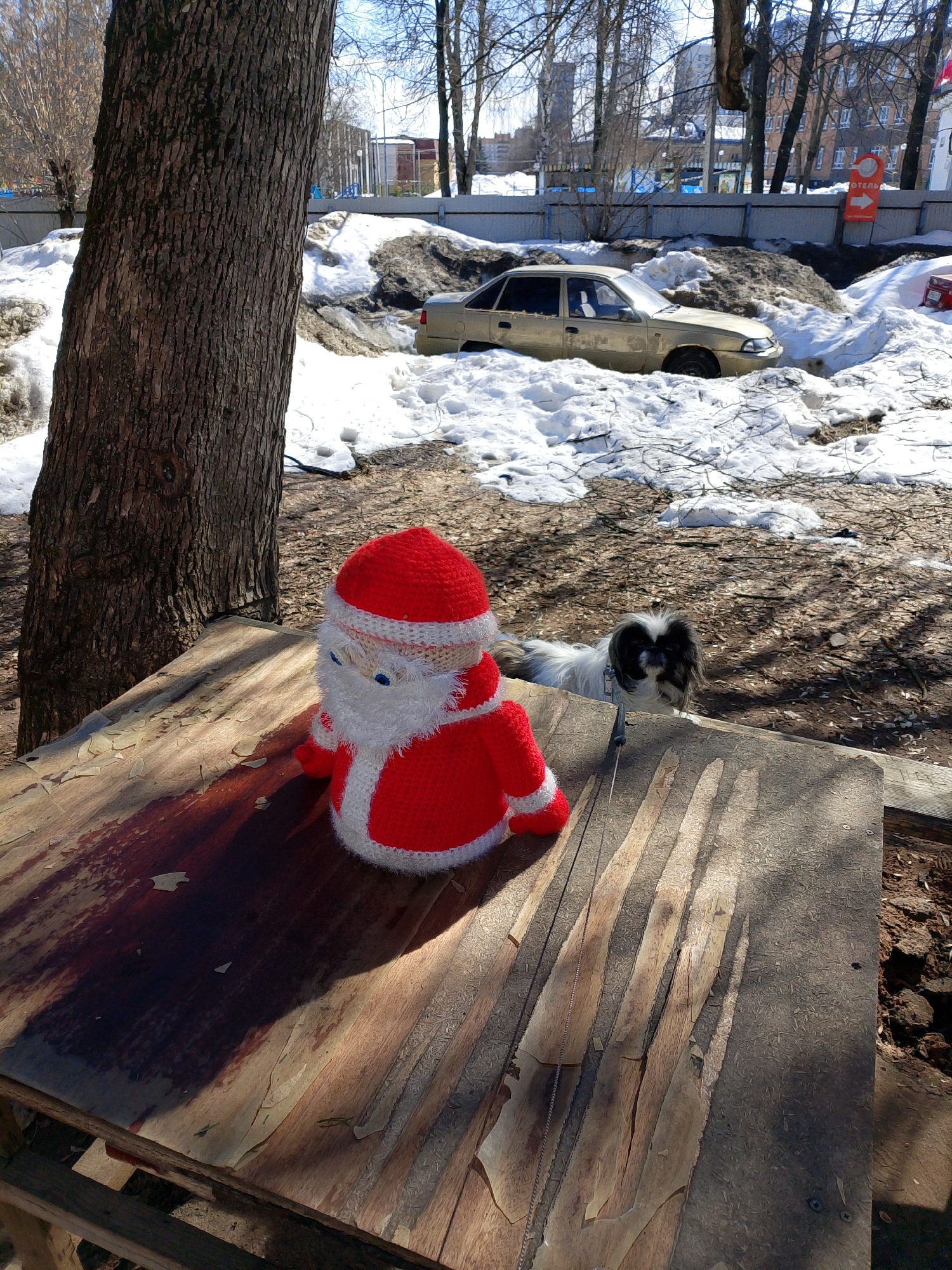 The scene depicts an outdoor urban environment in Izhevsk, Russia, during what appears to be late winter or early spring, characterized by bright sunlight and significant patches of melting snow. A large tree trunk with dark, rough bark occupies the left side of the foreground. Adjacent to the tree, a weathered wooden surface, likely a bench or table, displays two primary subjects. A knitted figure resembling Santa Claus, dressed in red and white with a white beard and blue eyes, is positioned on the left side of the wooden surface, casting a distinct shadow to its right. To the right of the Santa figure, a small, long-haired dog with black and white fur is present, looking directly towards the viewer. A thin, metallic leash or chain is attached to the dog's collar.
In the mid-ground, beyond the wooden surface and dog, a low concrete or painted fence runs horizontally across the frame. Behind this fence, a light gold sedan is partially submerged in or surrounded by large, irregular mounds of dirty, melting snow and earth. The vehicle is oriented with its front facing towards the right. Further in the background, multi-story buildings with visible windows and bare deciduous trees are scattered under a clear, bright blue sky. A red sign with a white arrow pointing right and the Russian word "ОТЕЛЬ" (HOTEL) is affixed to the fence, to the right of the sedan. The ground in the immediate vicinity of the wooden surface shows exposed dirt and scattered debris from melting snow.