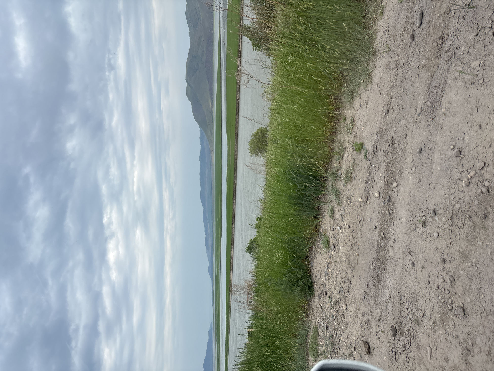 The image shows a wide river or lake with green fields on the other side. In the foreground, there is a dirt road with grass growing along the edge. The sky is cloudy. There are hills in the background. No people are visible in the image. The scene appears to be a natural landscape.