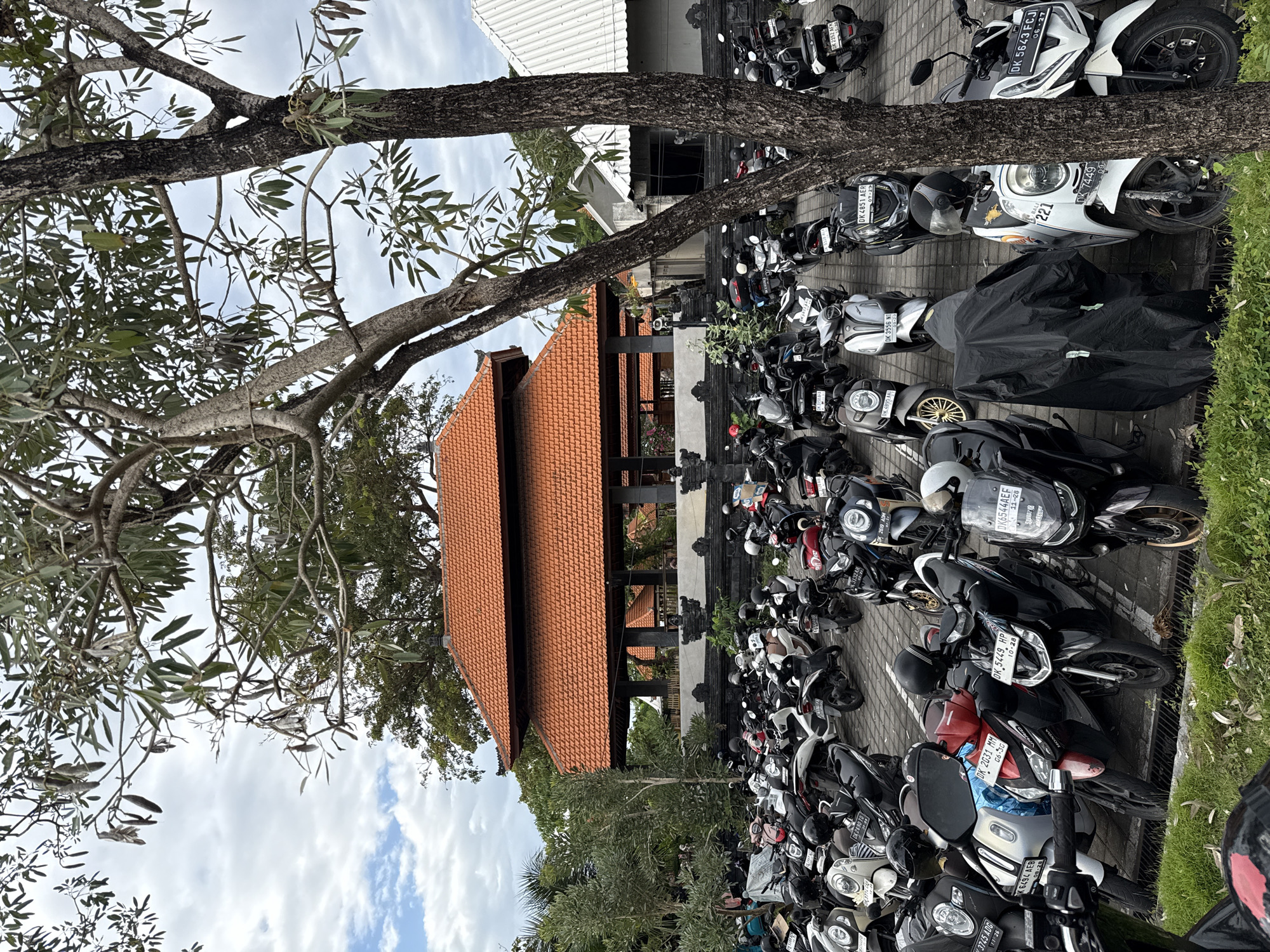 The image depicts a large parking lot filled with numerous motorcycles, predominantly scooters, in Denpasar, Indonesia. The lot is situated in front of a building with a distinctive tiered, orange-tiled roof, characteristic of Balinese architecture. A large tree with thick branches and sparse leaves stands in the foreground, partially obscuring the view of the motorcycles and the building. The ground is paved with concrete slabs. The sky is partly cloudy. No people are clearly visible in the image, though the presence of a parking lot suggests pedestrian activity. The overall scene suggests a public space, possibly a tourist attraction or a commercial area, where motorcycle parking is a common necessity.