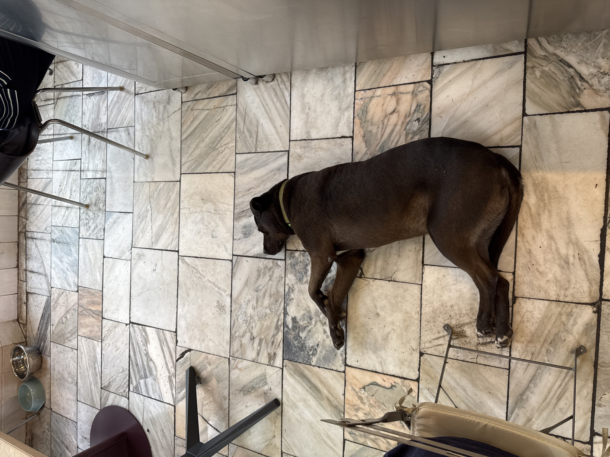 An adult brown dog with a yellow collar is lying down on a marble-tiled floor. The dog is positioned diagonally across the frame, with its head facing left and its body stretching towards the bottom right. The dog's front paws are crossed over its chest, and its hind legs are extended.
The floor is made of large, rectangular marble tiles with a natural, veined pattern in shades of white, gray, and beige. The grout lines between the tiles are dark.
In the background, to the left, are two dog bowls, one light blue and one silver, placed near a dark red table leg. To the right, the legs of a metal chair are visible, and a portion of a metallic cabinet or appliance is present. To the far left, the leg of another dark-colored table is visible.
The lighting suggests it is daytime, with light coming from above and to the right, casting subtle shadows. The overall scene appears to be an indoor space, possibly a cafe or restaurant with a pet-friendly policy, given the presence of the dog and its bowls. There are no people clearly visible in the image, though the presence of chairs suggests a public or commercial setting.