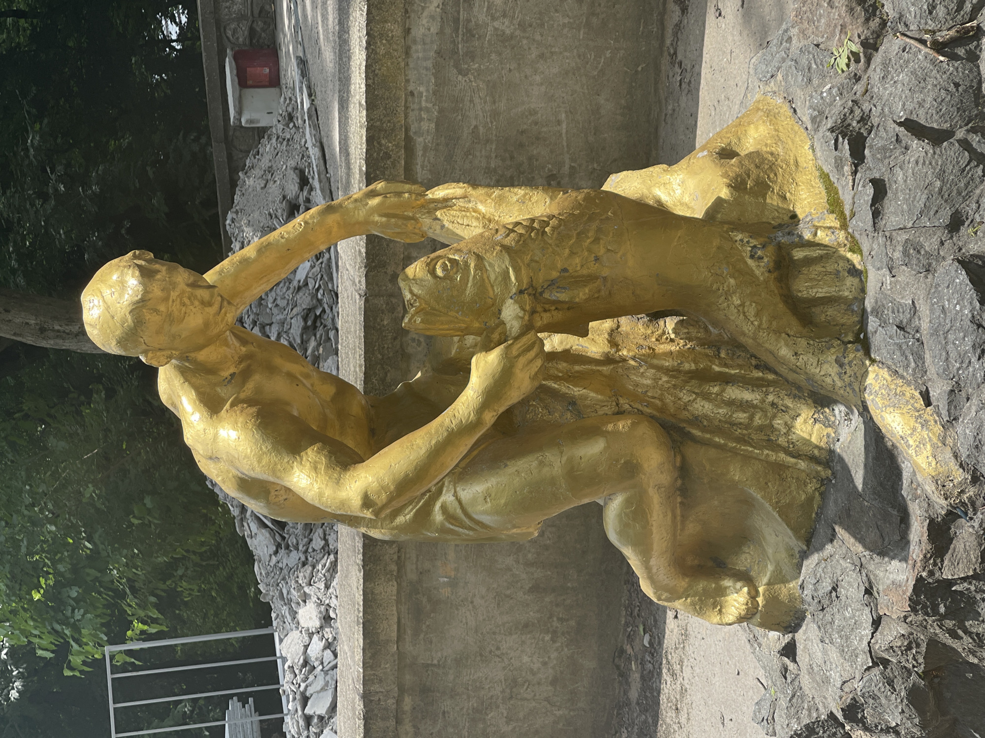 A golden statue of a man wrestling a large fish stands on rocks in an outdoor setting. The man is kneeling and appears to be in the process of subduing the fish, which he holds by its head and tail. The statue is detailed, with musculature visible on the man and scales depicted on the fish. The background shows a stone wall, piles of debris, trees, and a fence. The scene suggests a park or public space, possibly a fountain or monument, given the nature of the artwork. It is located in the city of Zheleznovodsk, Russia.