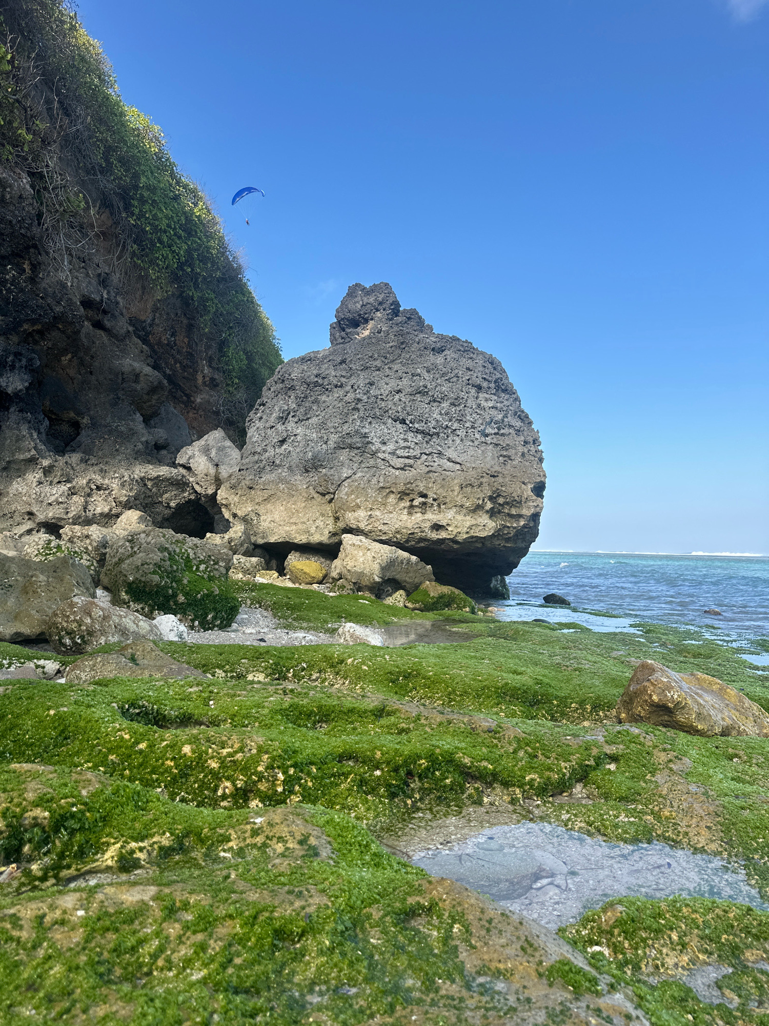 A paraglider flies through a clear blue sky over a rocky coastline in Kuta Selatan, Indonesia. The foreground is dominated by rocks covered in vibrant green moss, with shallow pools of water reflecting the sky. In the midground, a large, weathered rock formation juts out into the sea. The ocean, a mix of turquoise and blue, extends to the horizon, where faint white waves break. The cliff face on the left is steep and covered in lush green vegetation.