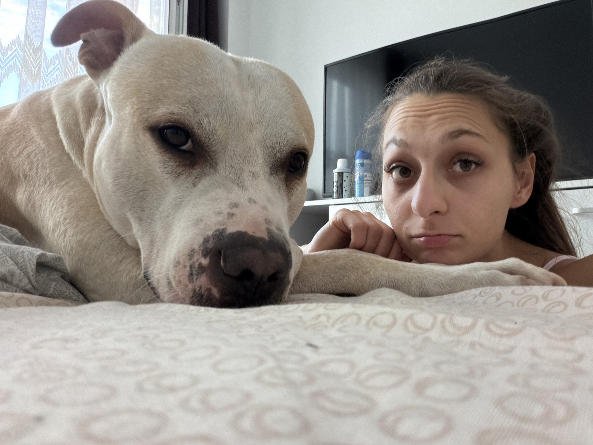 A close-up, low-angle shot shows a light-colored dog with dark spots on its nose resting on a bed. The dog's head is prominent in the foreground, with its eyes looking towards the camera. Next to the dog, a young woman with her head propped on her hand and arm is visible. She has dark hair and a neutral expression. Behind them, a television screen is mounted on a shelf, with two bottles on the shelf. A window with a lace curtain is also visible in the background. The overall scene suggests a casual indoor setting, likely a bedroom. There is no information available to determine the location in Plovdiv, Bulgaria.