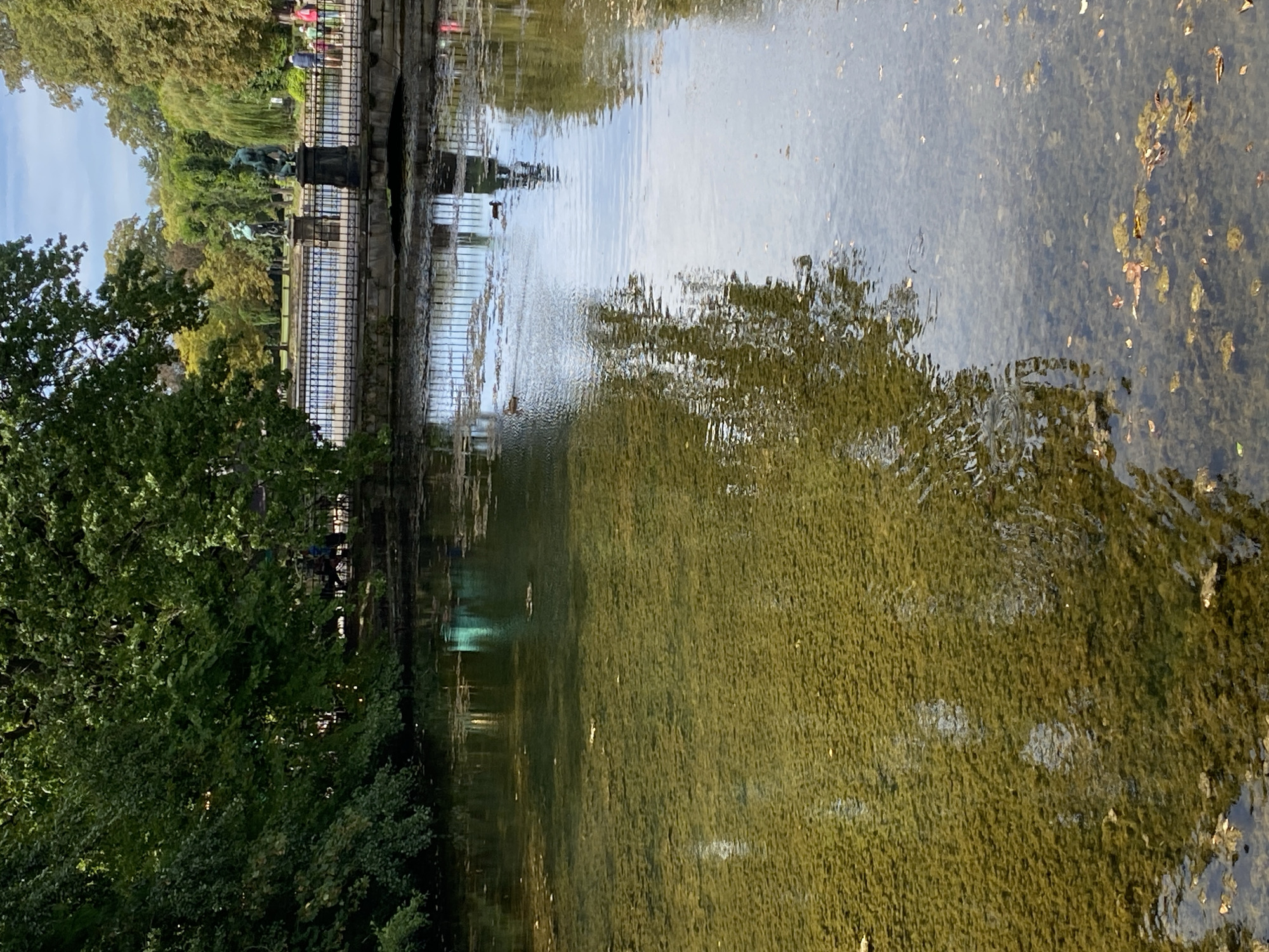 The image depicts a canal or body of water within a park setting, likely in Bückeburg, Germany. The foreground is dominated by the water, which is shallow enough to reveal a murky, algae-covered bottom with scattered fallen leaves. In the middle ground, a stone bridge with a black metal railing spans the water. Beyond the bridge, a pathway is visible with several people walking. Two bronze statues, one depicting a figure on horseback and another of a person with a child, are positioned on pedestals flanking the bridge. Lush green trees line the banks of the canal and surround the park, casting reflections on the water's surface. The sky is partly cloudy. Two ducks are visible swimming in the canal. The overall atmosphere is serene and suggests a public park on a pleasant day.