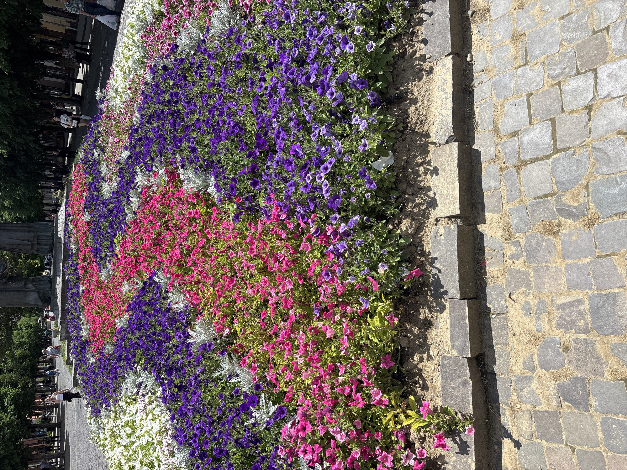 The image shows a vibrant flower bed with rows of purple, pink, and white flowers, interspersed with silver foliage. The flower bed is bordered by stone blocks and is situated on a cobblestone path. In the background, trees line a sidewalk where several people are walking. The scene appears to be in a public area, possibly a park or a city square, with a large statue or monument visible in the far background. The lighting suggests it is a sunny day.