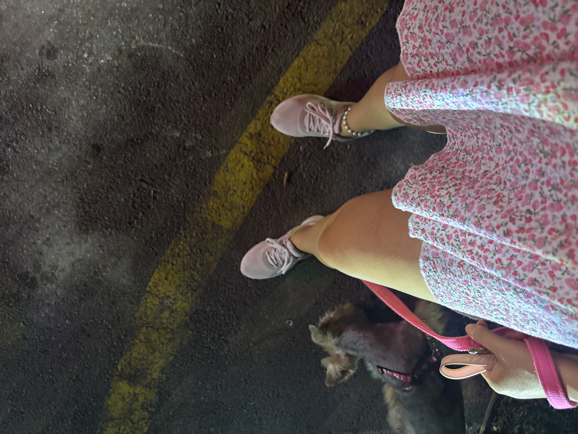 A low-angle, point-of-view shot shows a person walking a dog on asphalt in Budva, Montenegro. The person is wearing a pink floral-print dress and light pink sneakers. Their right hand holds a pink dog leash. A small, tan dog with a darker muzzle is beside them, also wearing a pink collar. A yellow line is painted on the asphalt. The environment appears to be an outdoor urban setting, possibly a street or sidewalk, at night or in low light conditions, as suggested by the artificial lighting reflecting on the asphalt.
