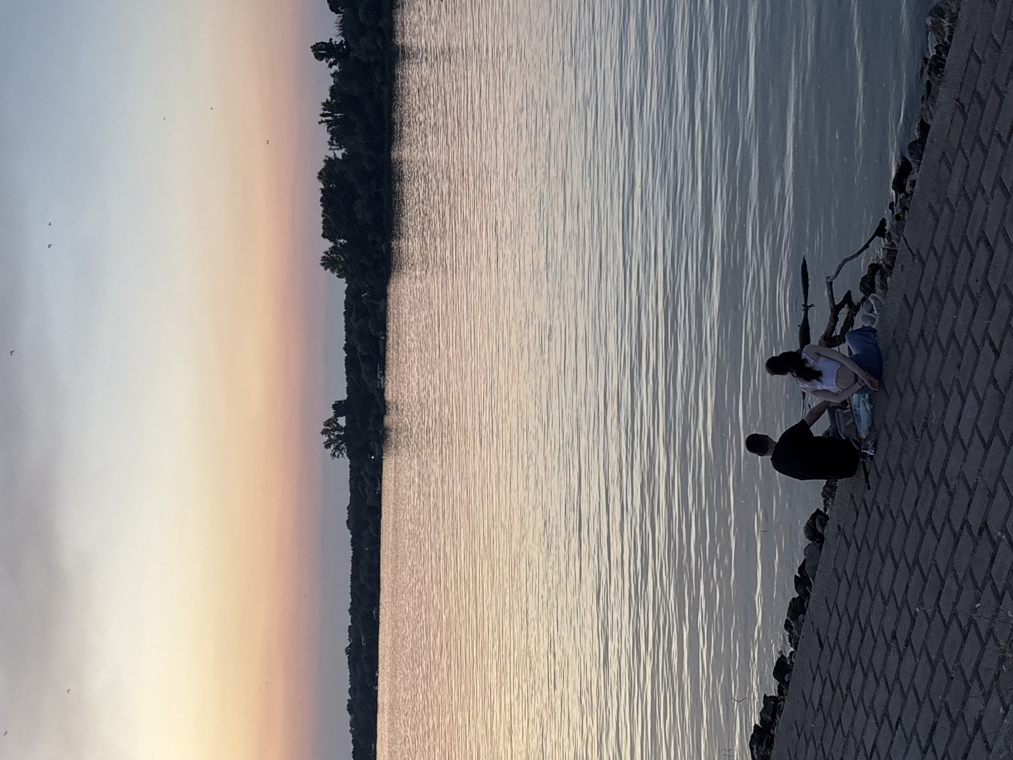 The image shows a serene sunset scene over the Sava River in Belgrade, Serbia. In the foreground, a brick-paved embankment leads to the water's edge. Three individuals are seated on the embankment, facing the river and the colorful sky. A man in a black t-shirt is on the left, and two individuals, likely women, are to his right. One is wearing a white top and blue jeans, and the other's attire is less clear. They are sitting close together, appearing to be enjoying the view or each other's company. A fallen branch lies near the water by the people. The river itself is calm, with gentle ripples reflecting the soft hues of the sunset. The distant bank is lined with trees, forming a dark silhouette against the pastel-colored sky. Several birds are visible as small specks in the sky. The overall atmosphere is peaceful and contemplative.
