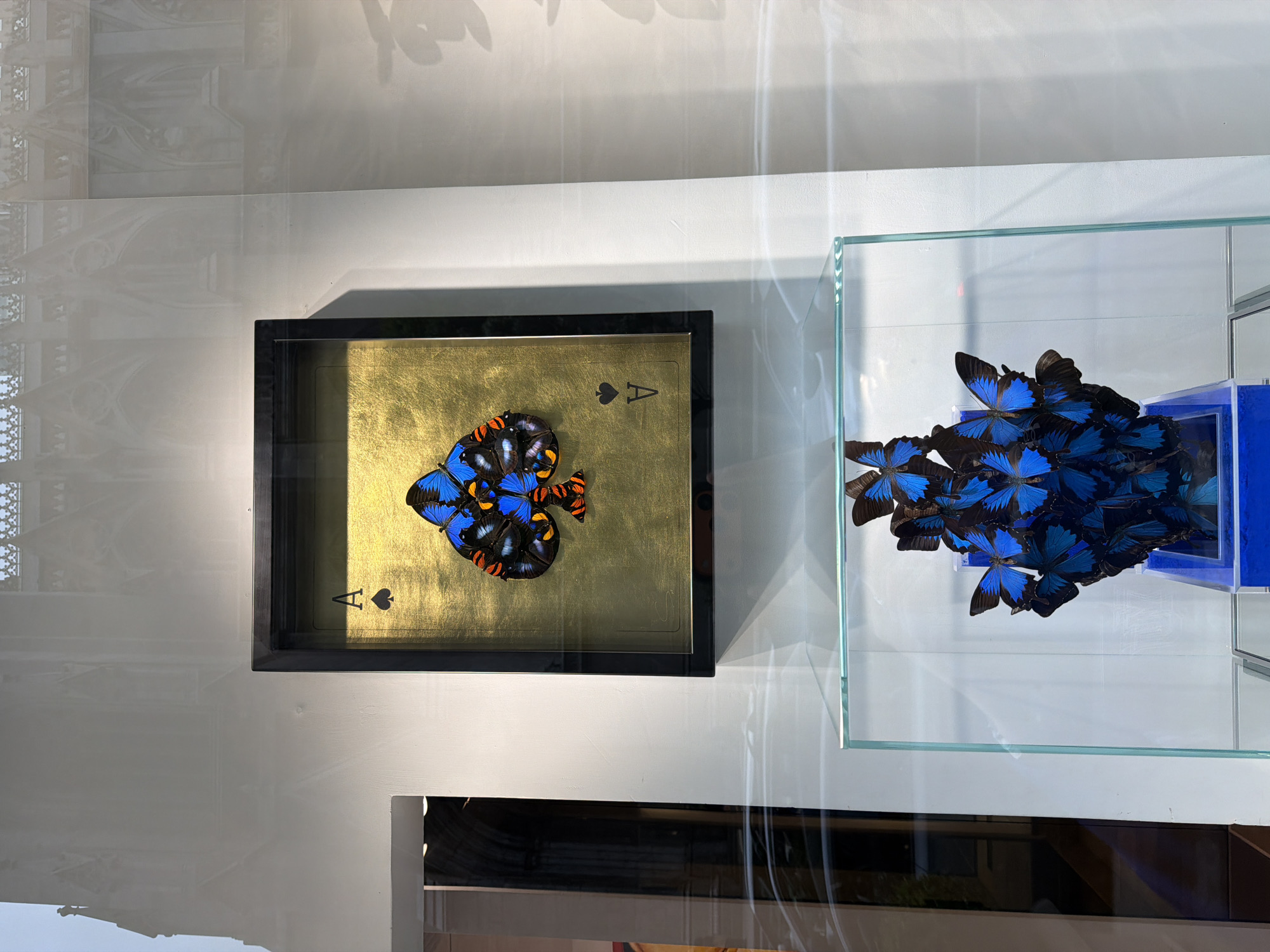 The image shows two framed pieces of artwork on display. The piece on the left is a framed picture of the Ace of Spades with a collection of butterflies arranged on top of it in the shape of a heart. The artwork on the right is a clear box filled with blue butterflies clustered together, possibly around a blue object within the box. The location may be a gallery or exhibit in the city of New York, United States of America, given the architecture visible in the reflection on the wall.