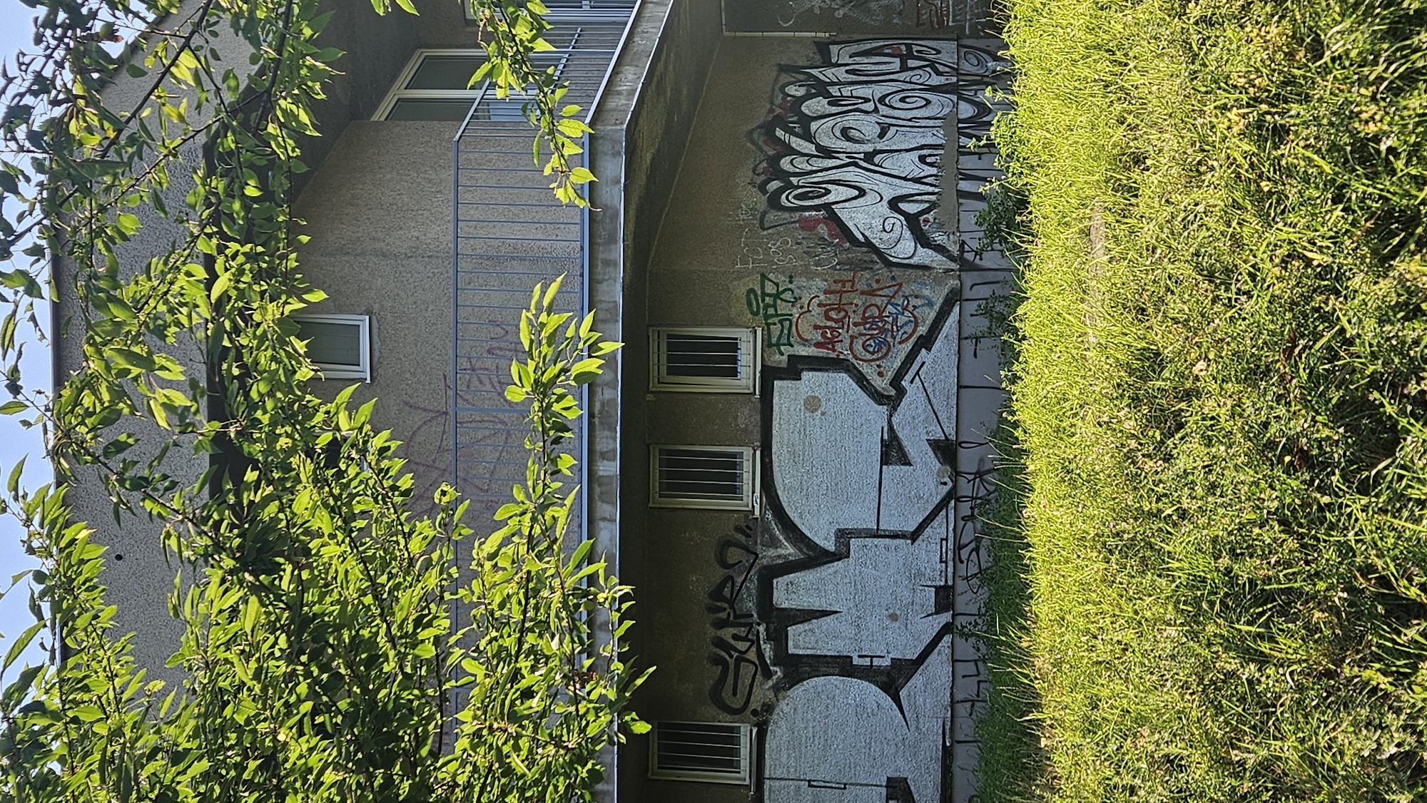 The image depicts the exterior of a two-story building covered in graffiti, situated in the city of Prešov, Slovakia. The foreground is dominated by a dense patch of green grass and vegetation. The lower level of the building is heavily graffitied with large, stylized lettering in white and black, alongside smaller tags in red and green. Three barred windows are visible on this level. A balcony with a metal railing runs along the upper level. This upper level has at least two windows and appears to be partially obscured by the branches of a lush green tree in the foreground. The sky is a clear blue.