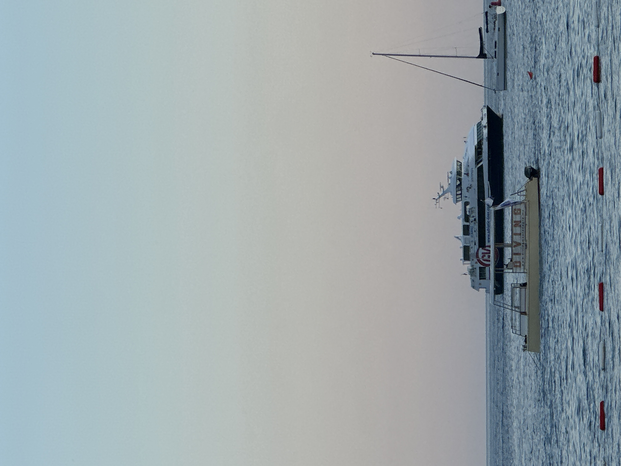A medium shot captures a serene seascape at dusk, with the city of Budva, Montenegro, as the backdrop. The sky transitions from a pale blue at the top to a soft, pale pink near the horizon, indicating the setting sun. The calm, blue sea is dotted with three vessels. In the foreground, a small, yellow boat with the word "DIVING" visible on its side floats on the water. Behind it, a larger white ferry with dark blue trim, identified by the "CM KOMPAS" logo, cruises across the frame. To the right, a white sailboat with a single mast and dark sail is anchored. Red and white buoys are arranged in a line across the bottom of the frame, marking a boundary. The overall atmosphere is peaceful and tranquil.